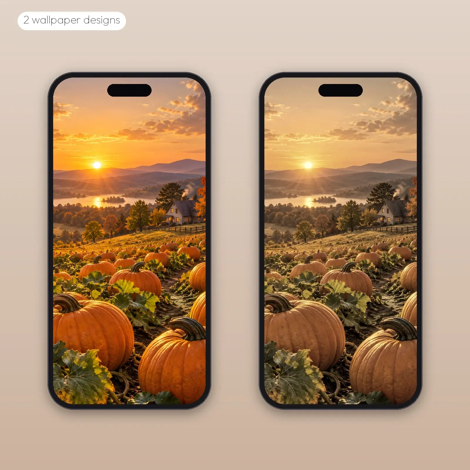 Golden Hour Pumpkin Patch – 2 Designs, Phone Tablet Desktop 4K, preview 2 of 4