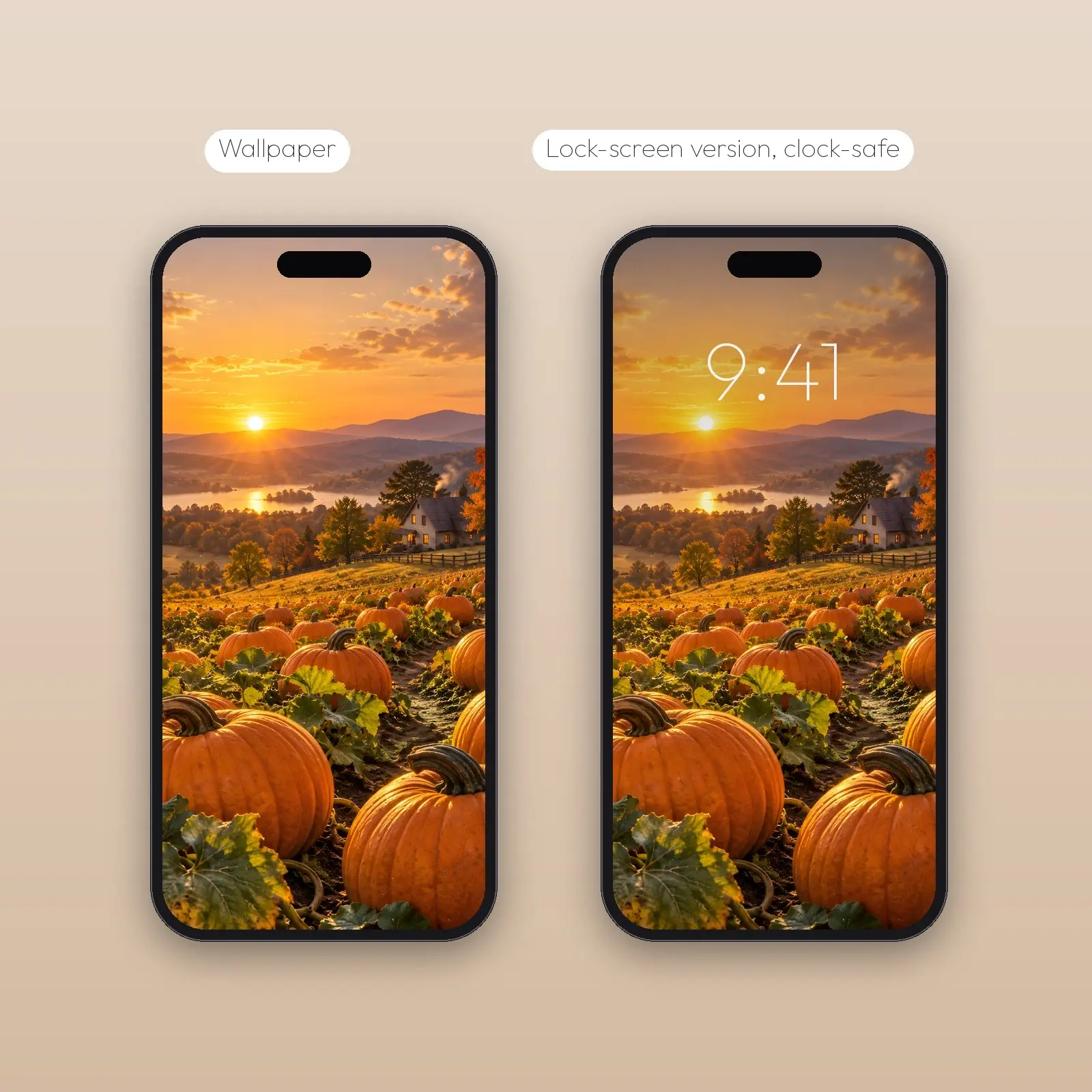 Golden Hour Pumpkin Patch – 2 Designs, Phone Tablet Desktop 4K, preview 4 of 4