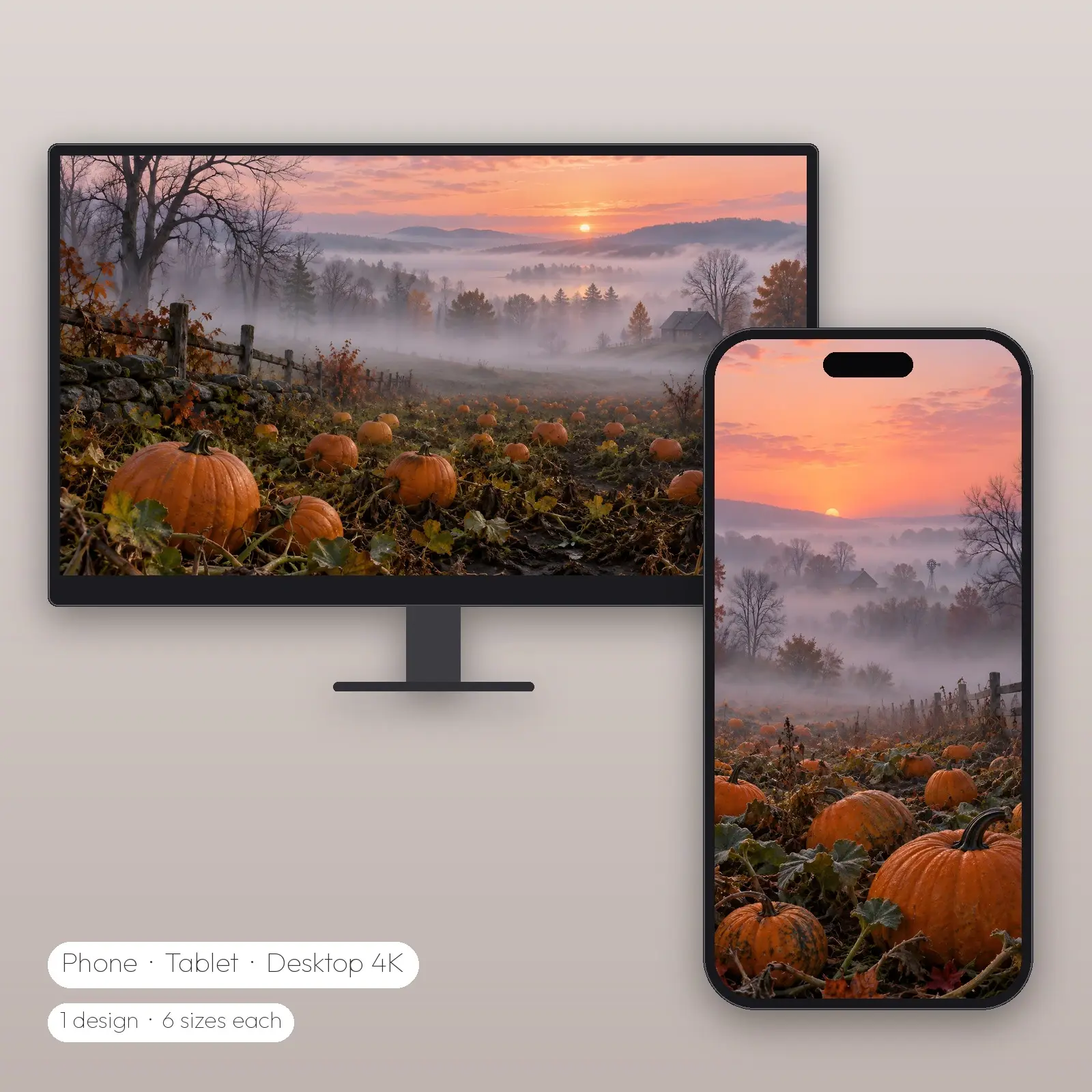 Misty Morning Pumpkin Field Wallpaper – Phone, Tablet and Desktop 4K JPG preview
