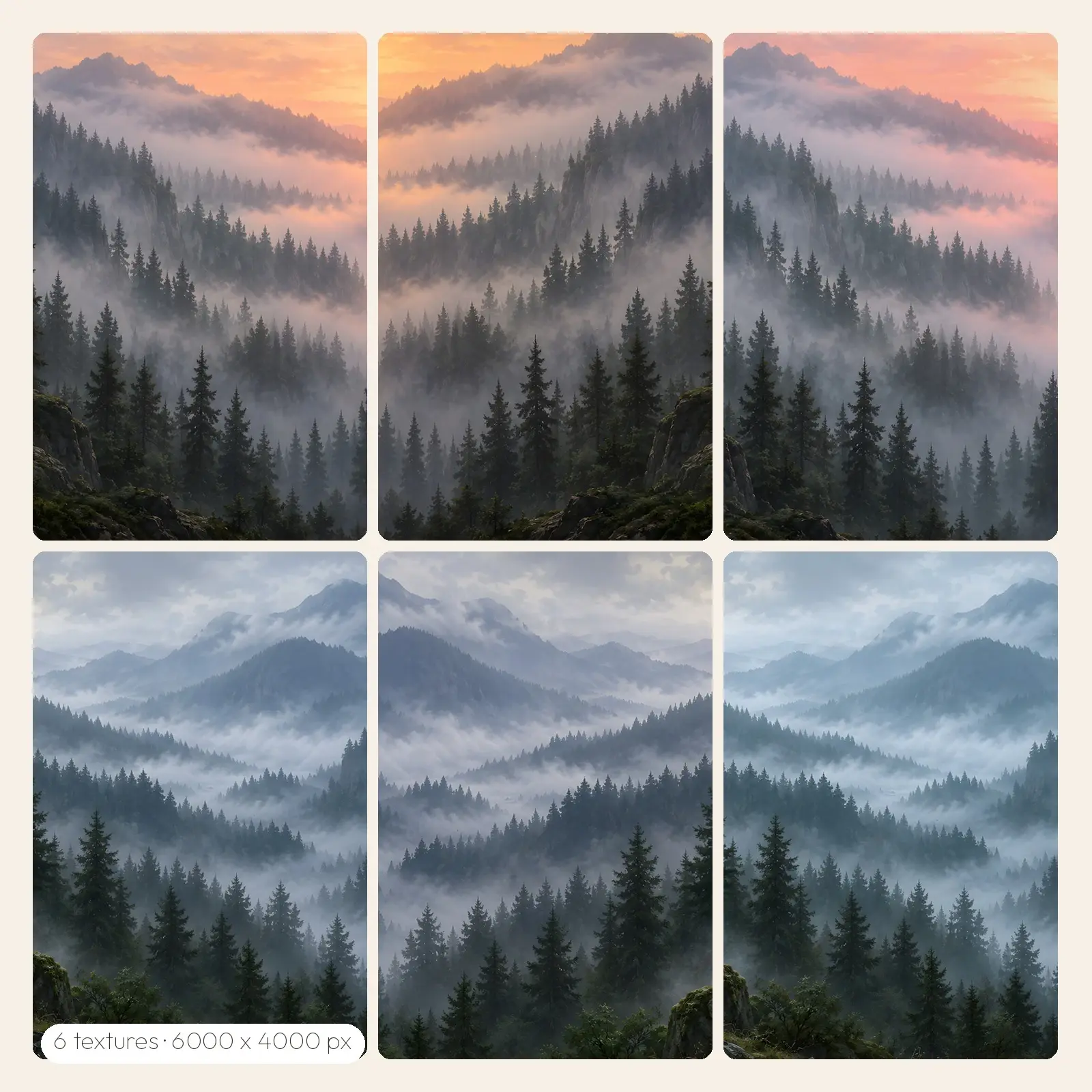 Foggy Pine Forest at Dawn Backgrounds – 6 High-Res Forest Backgrounds, JPG PNG preview