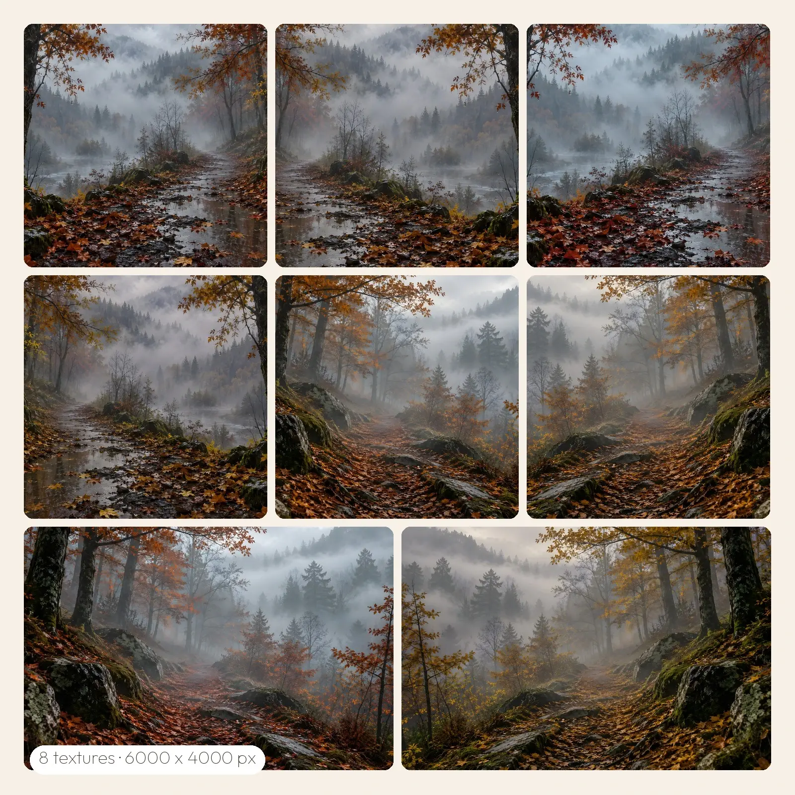 Rainy Forest Path in Fog Backgrounds – 8 High-Res Forest Backgrounds, JPG PNG preview