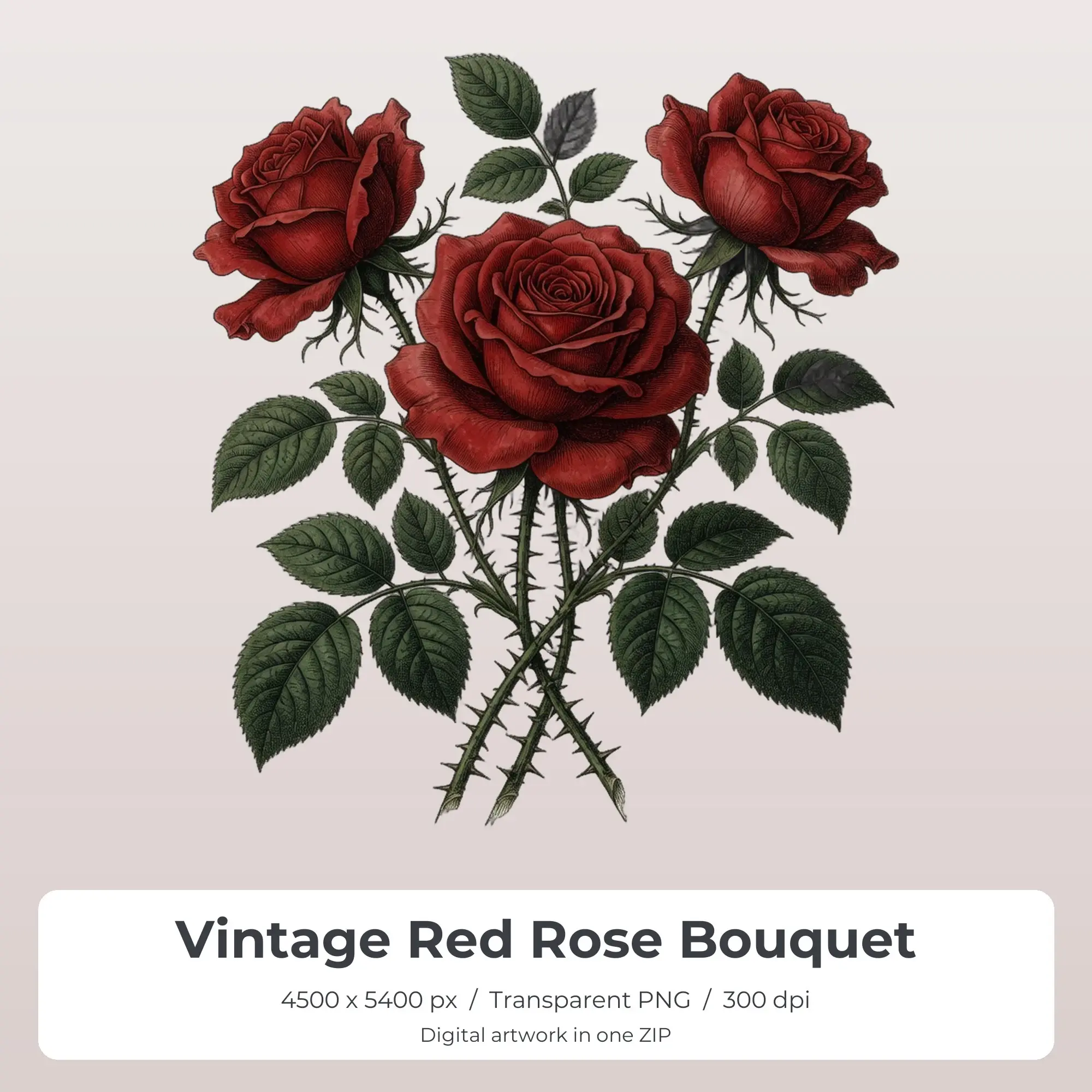 Vintage Red Rose Bouquet Sublimation PNG, T-Shirt Transfer Design preview