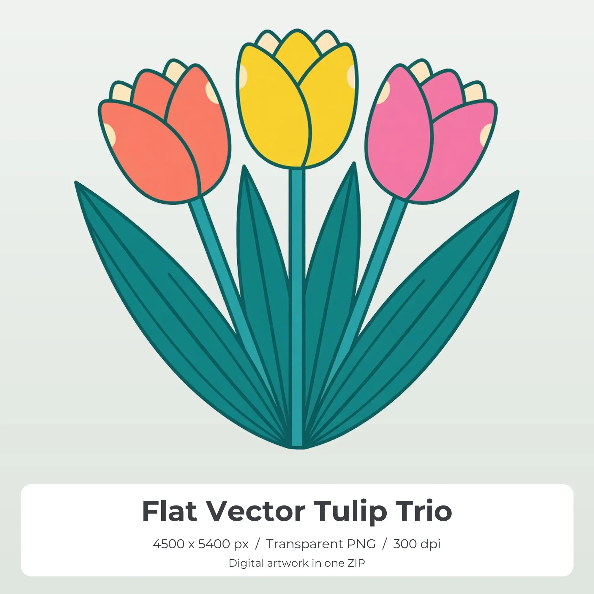 Flat Vector Tulip Trio Sublimation Transfer PNG, 4500x5400 preview