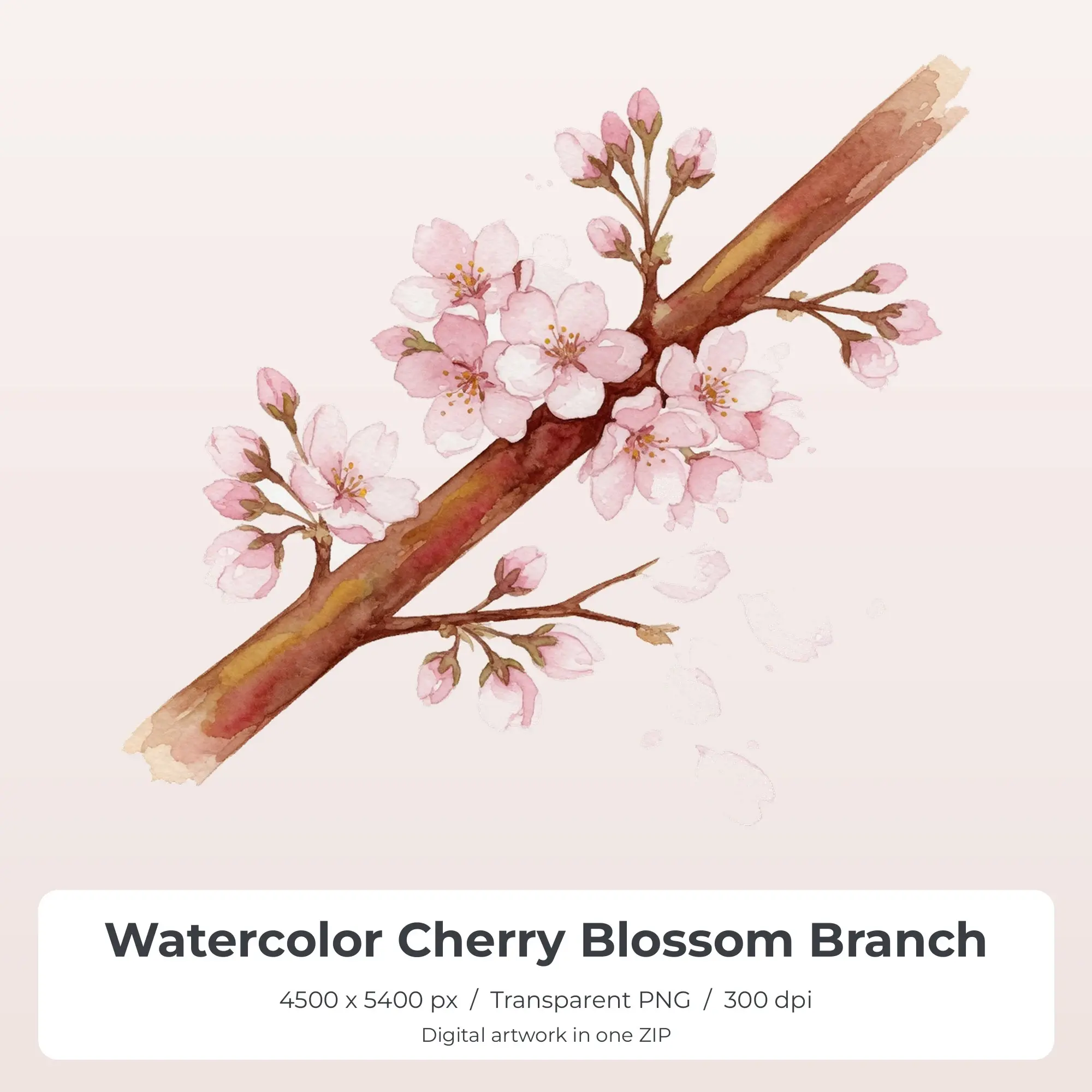 Watercolor Cherry Blossom Branch PNG - Shirt Sublimation Design preview