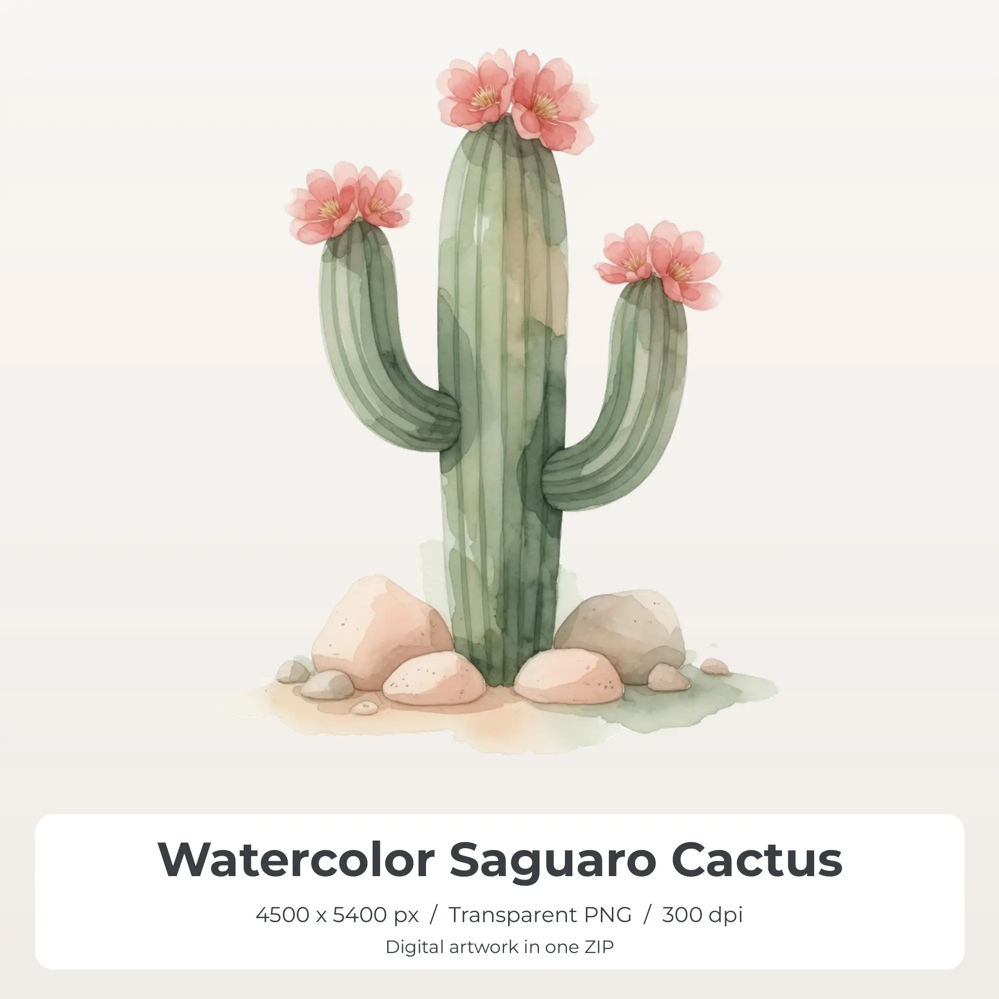 Watercolor Saguaro Cactus Sublimation Design PNG for Shirts preview