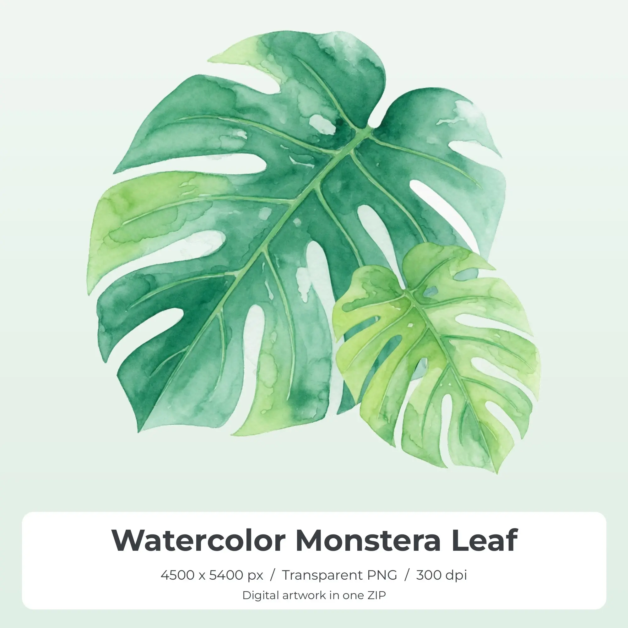 Watercolor Monstera Leaf Sublimation Transfer PNG, 4500x5400 preview
