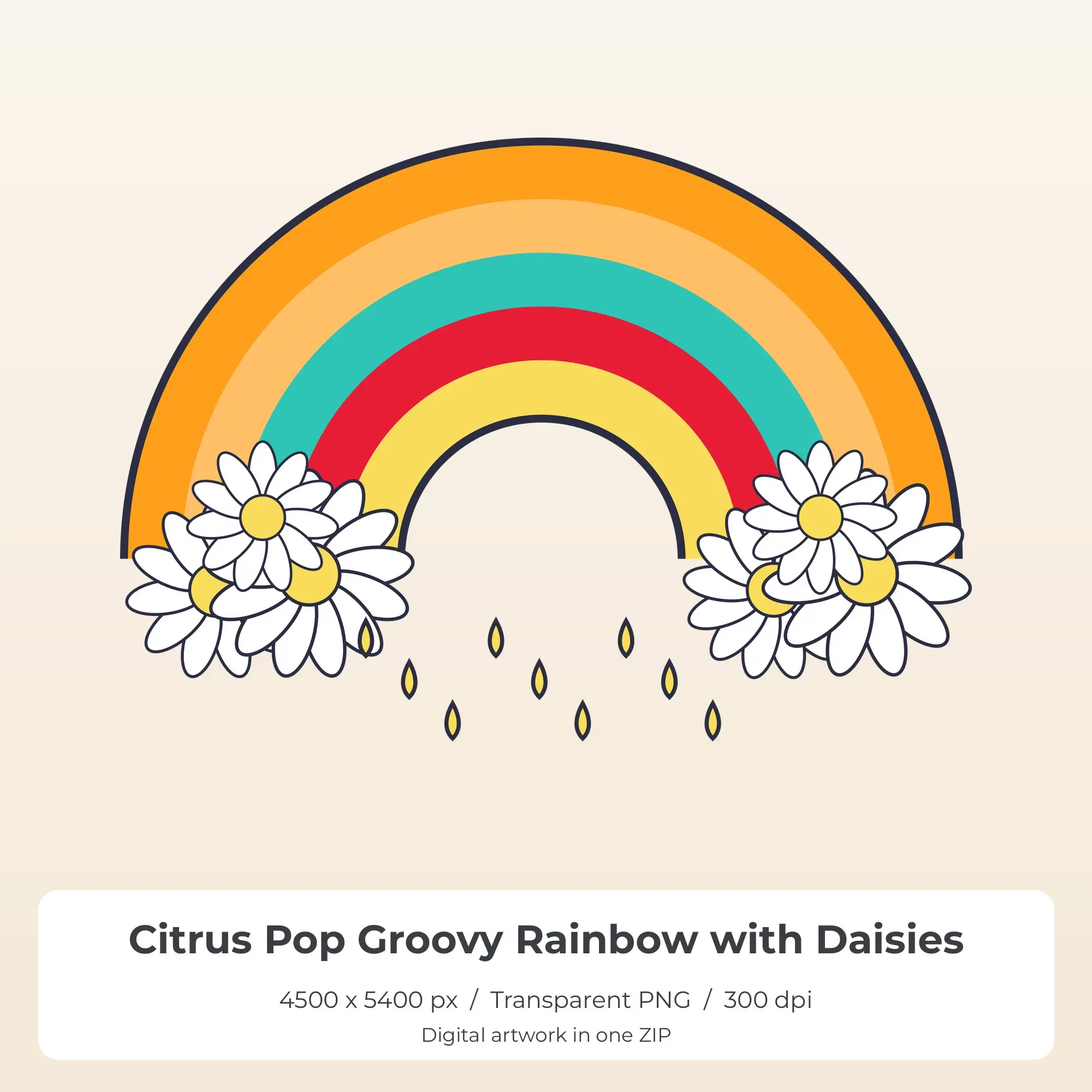 Citrus Pop Groovy Rainbow with Daisies Sublimation PNG for Shirts preview