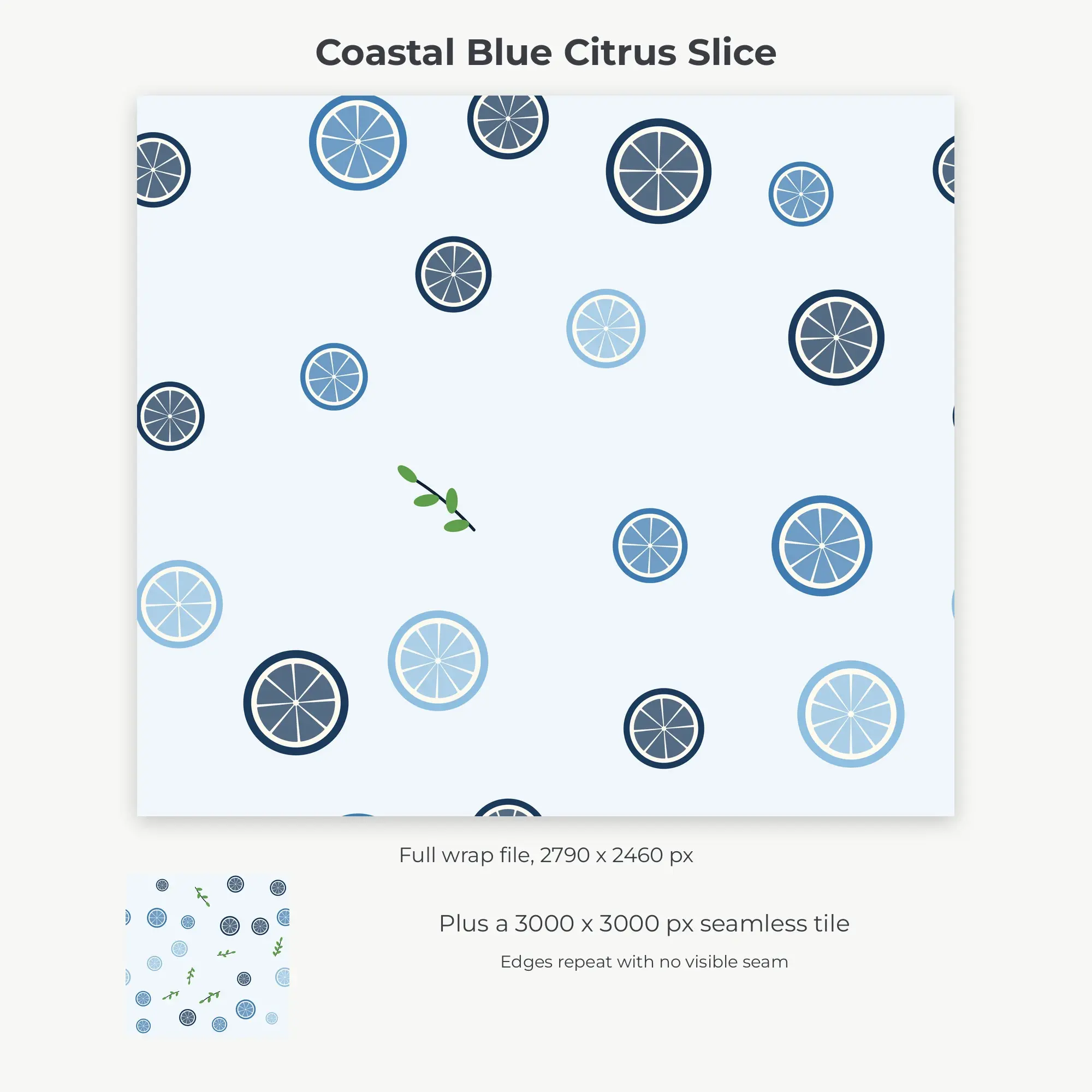 Coastal Blue Citrus Slice Tumbler Wrap PNG, 20oz Sublimation, preview 2 of 2