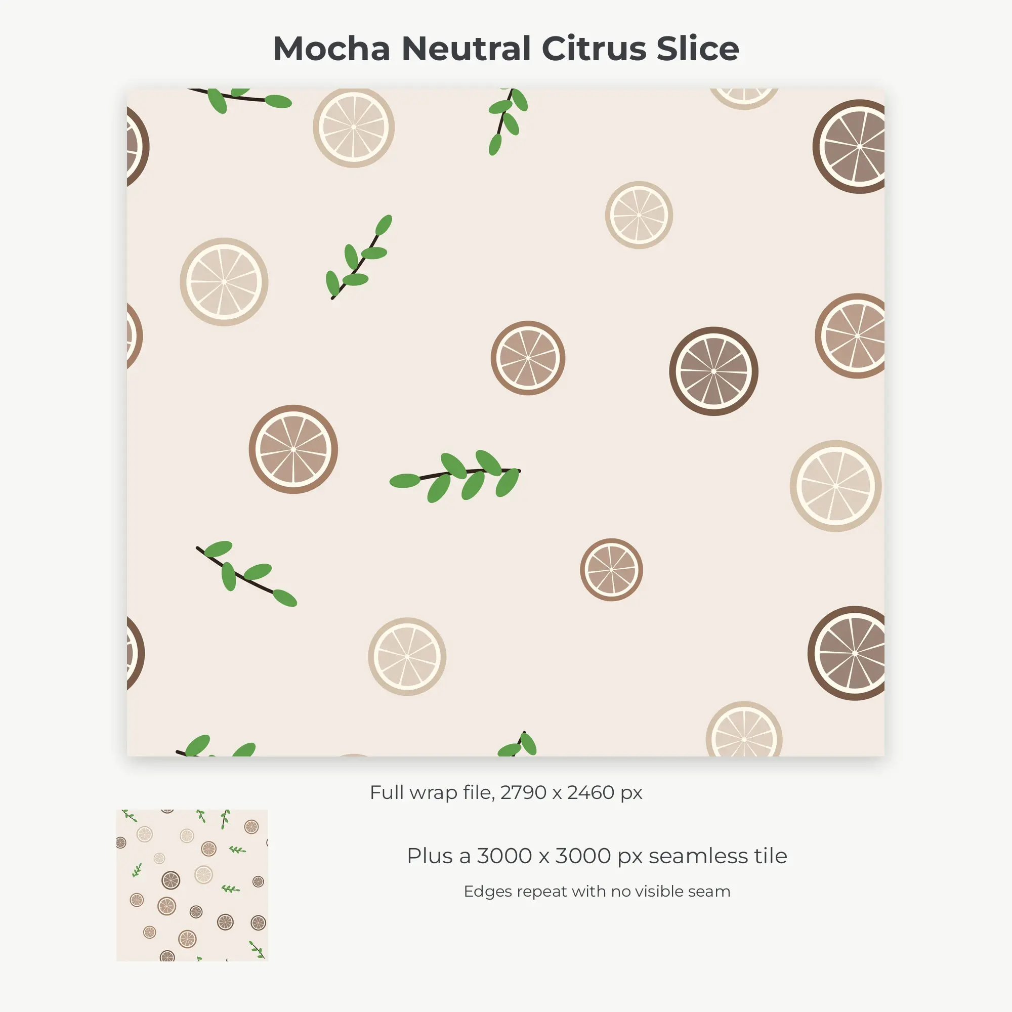 Mocha Neutral Citrus Slice Tumbler Wrap PNG, 20oz Sublimation, preview 2 of 2