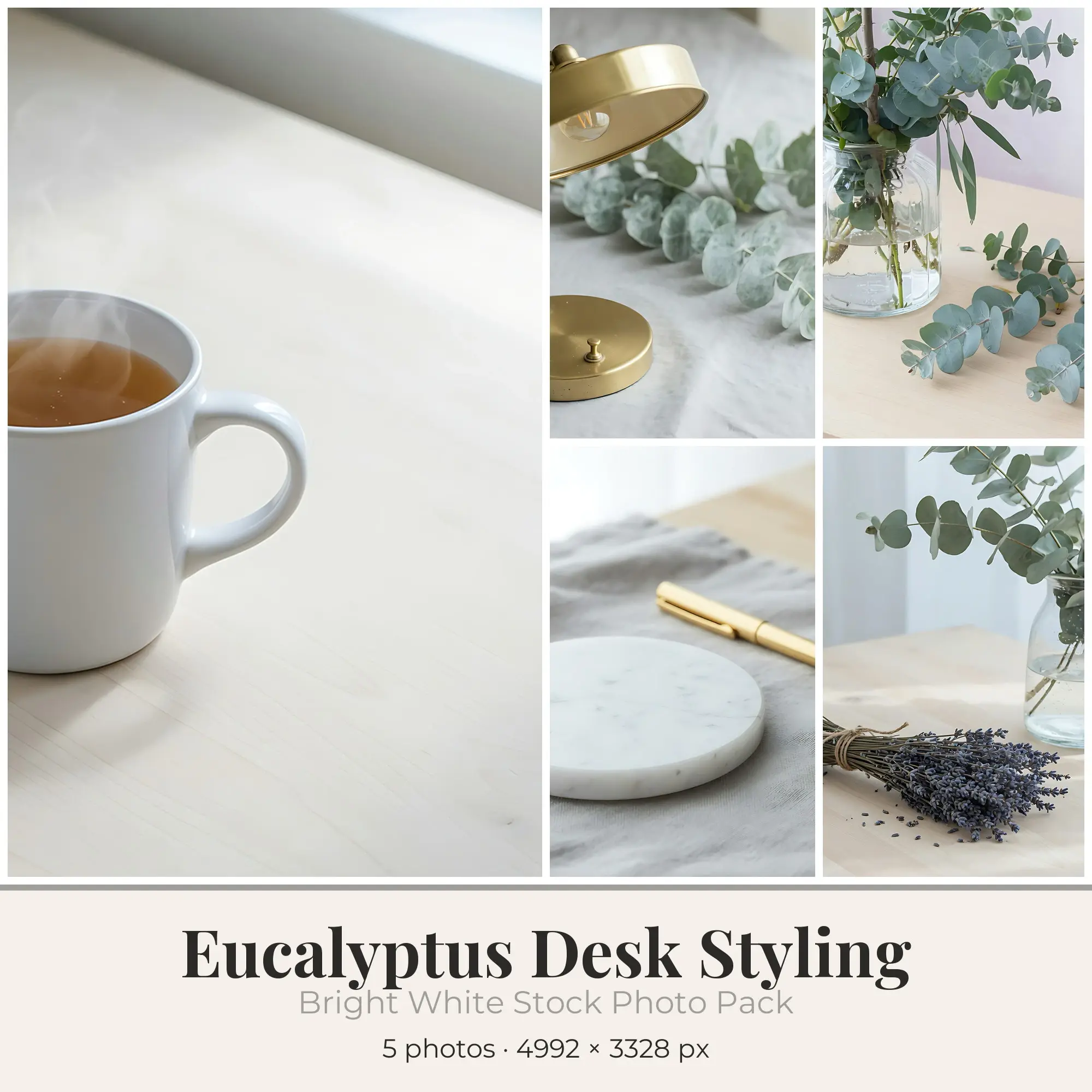 Stock Photos: Bright White Eucalyptus Desk Styling, 5 JPGs preview