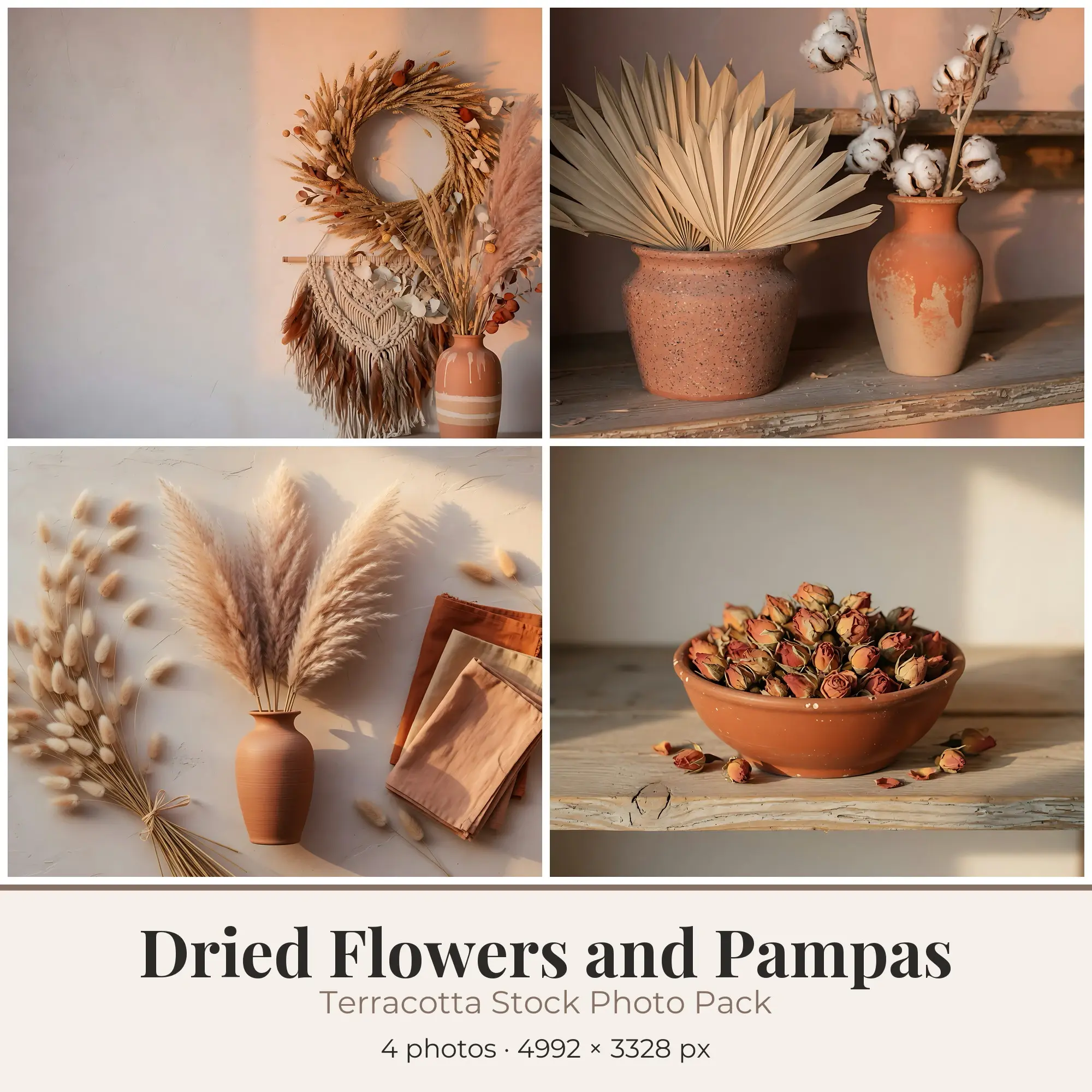 Stock Photos: Terracotta Dried Flowers and Pampas, 4 JPGs preview