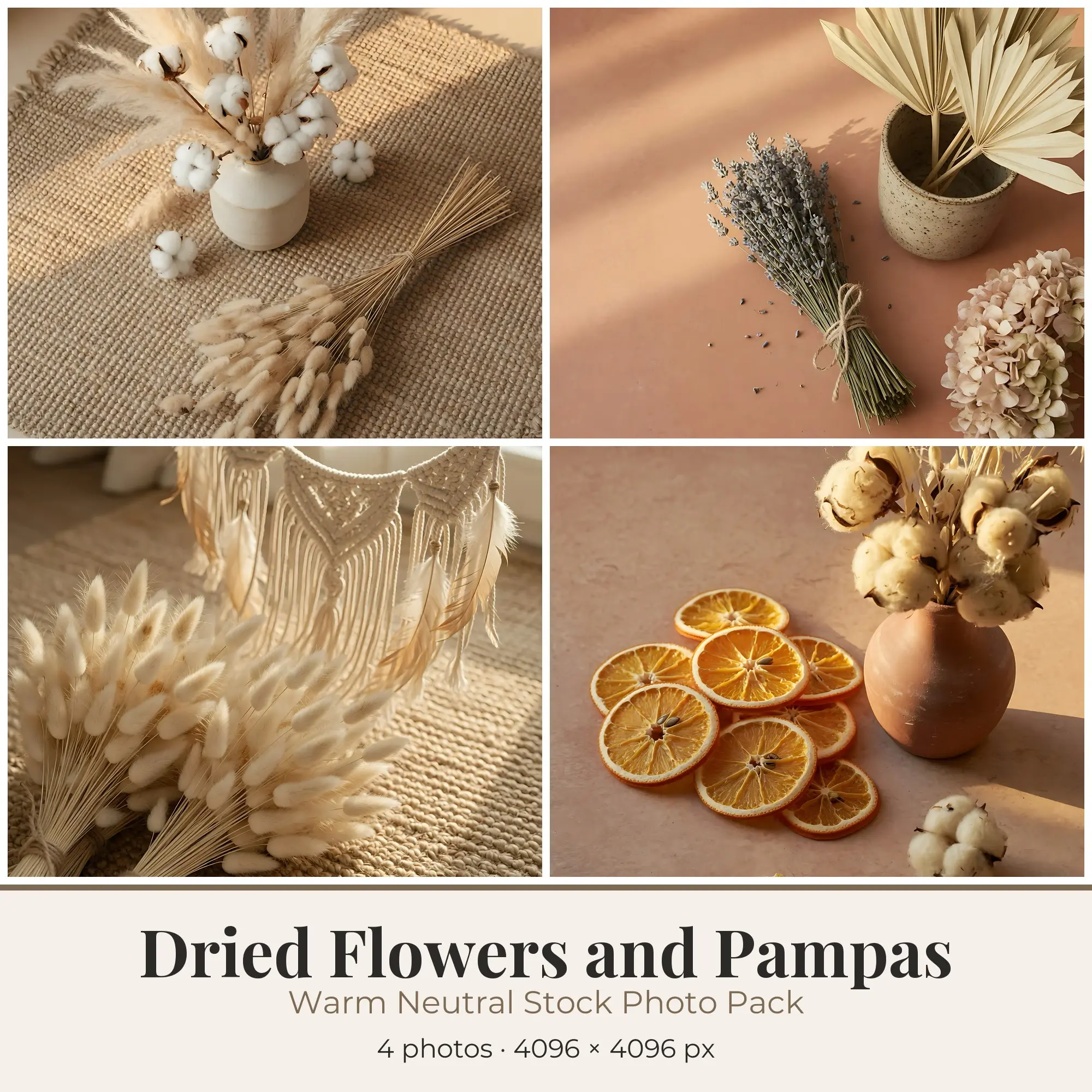 Stock Photos: Warm Neutral Dried Flowers and Pampas, 4 JPGs preview