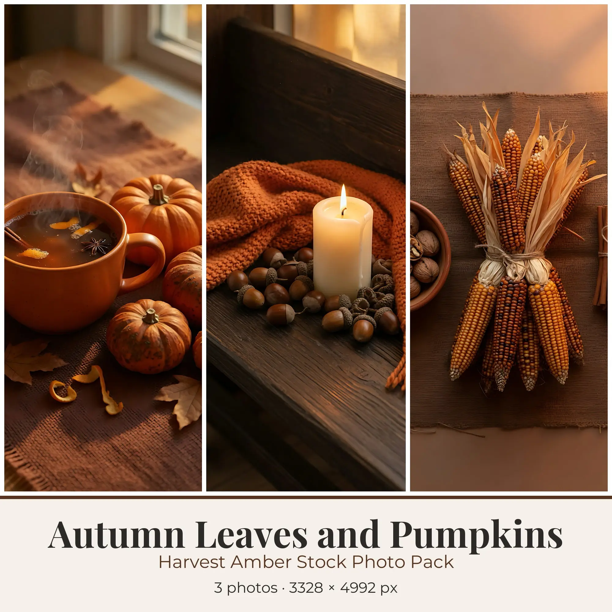 Stock Photos: Harvest Amber Autumn Leaves and Pumpkins, 3 JPGs preview