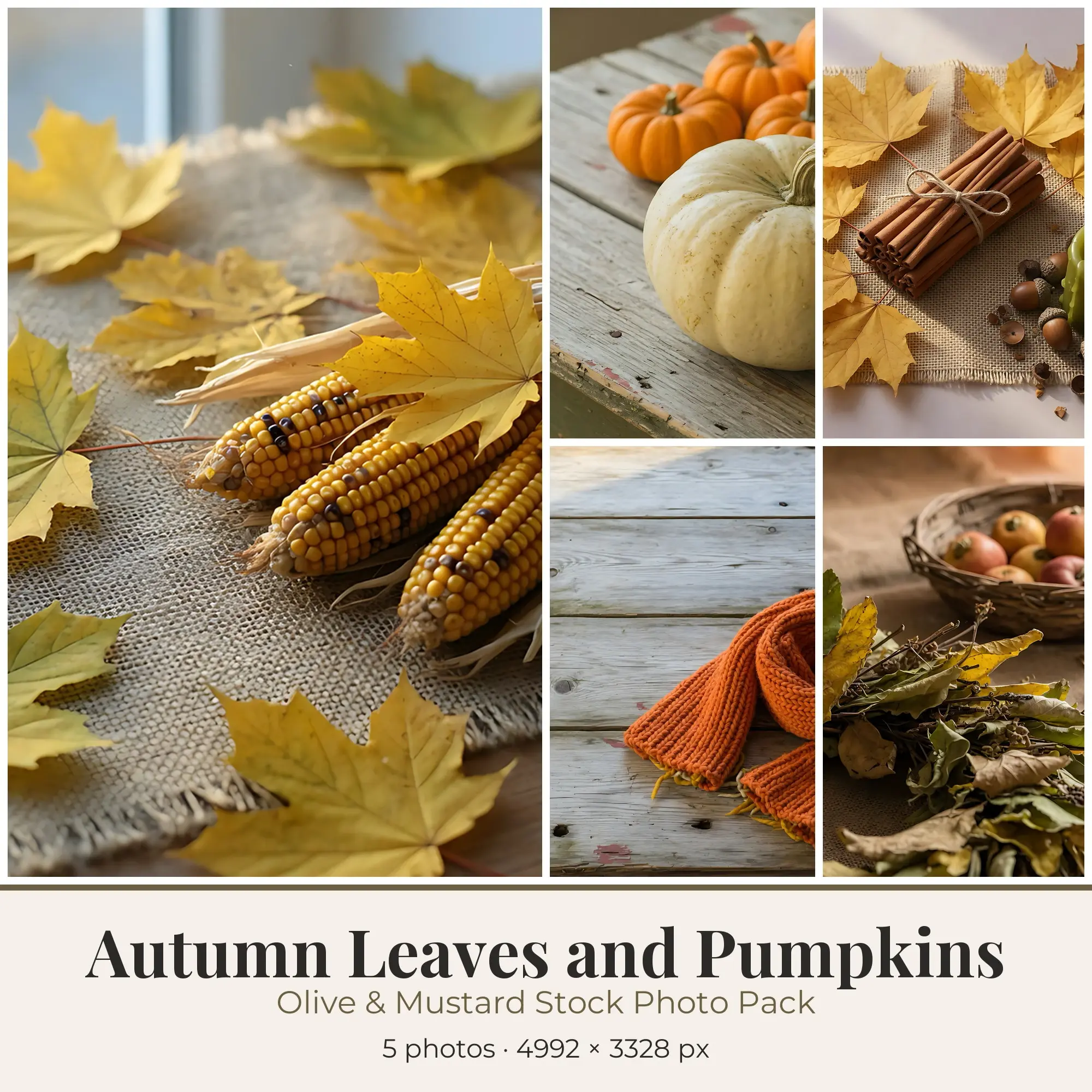 Stock Photos: Olive & Mustard Autumn Leaves and Pumpkins, 5 JPGs preview
