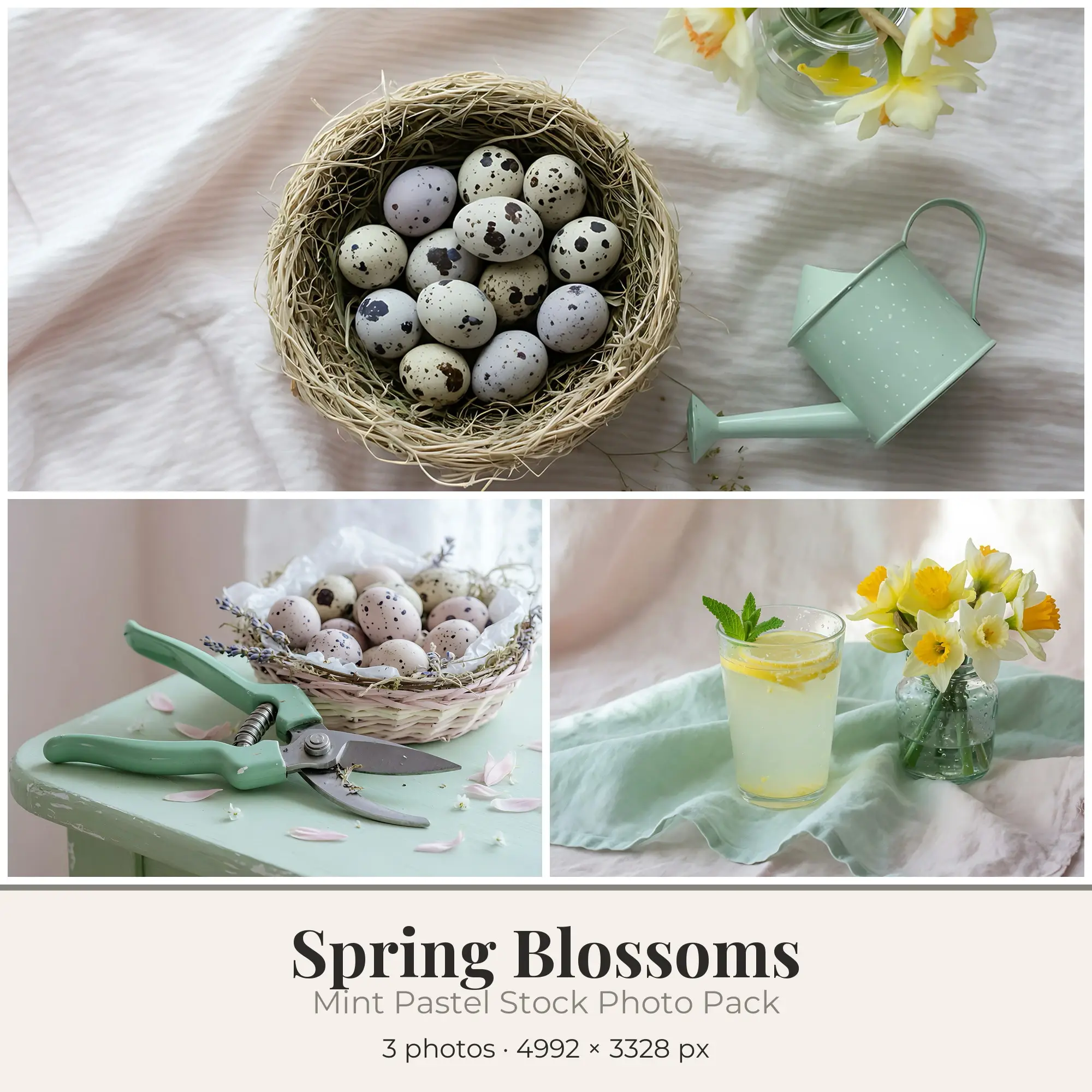 Stock Photos: Mint Pastel Spring Blossoms, 3 JPGs preview