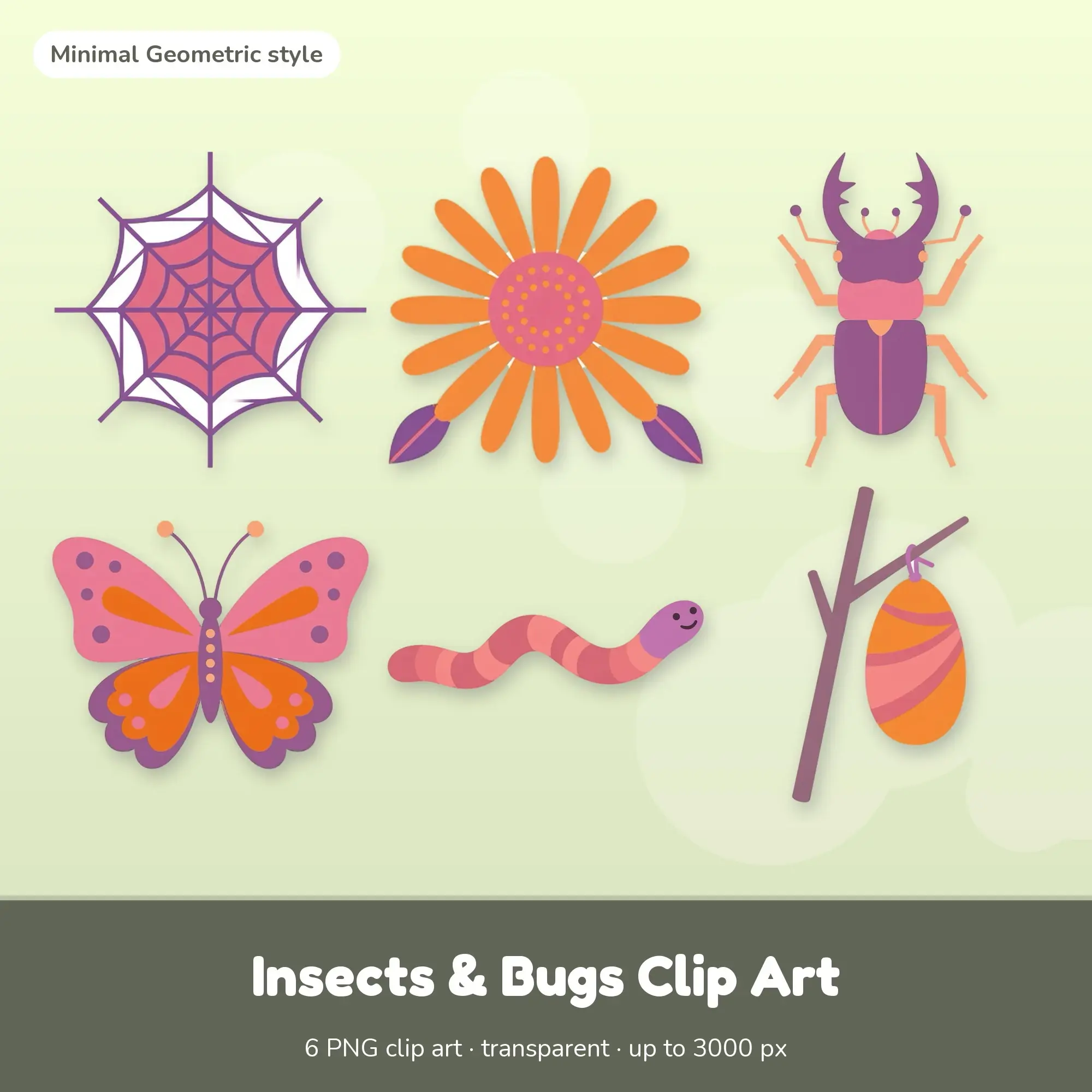Insects & Bugs Clip Art - 6 Minimal PNGs: Spider Web preview