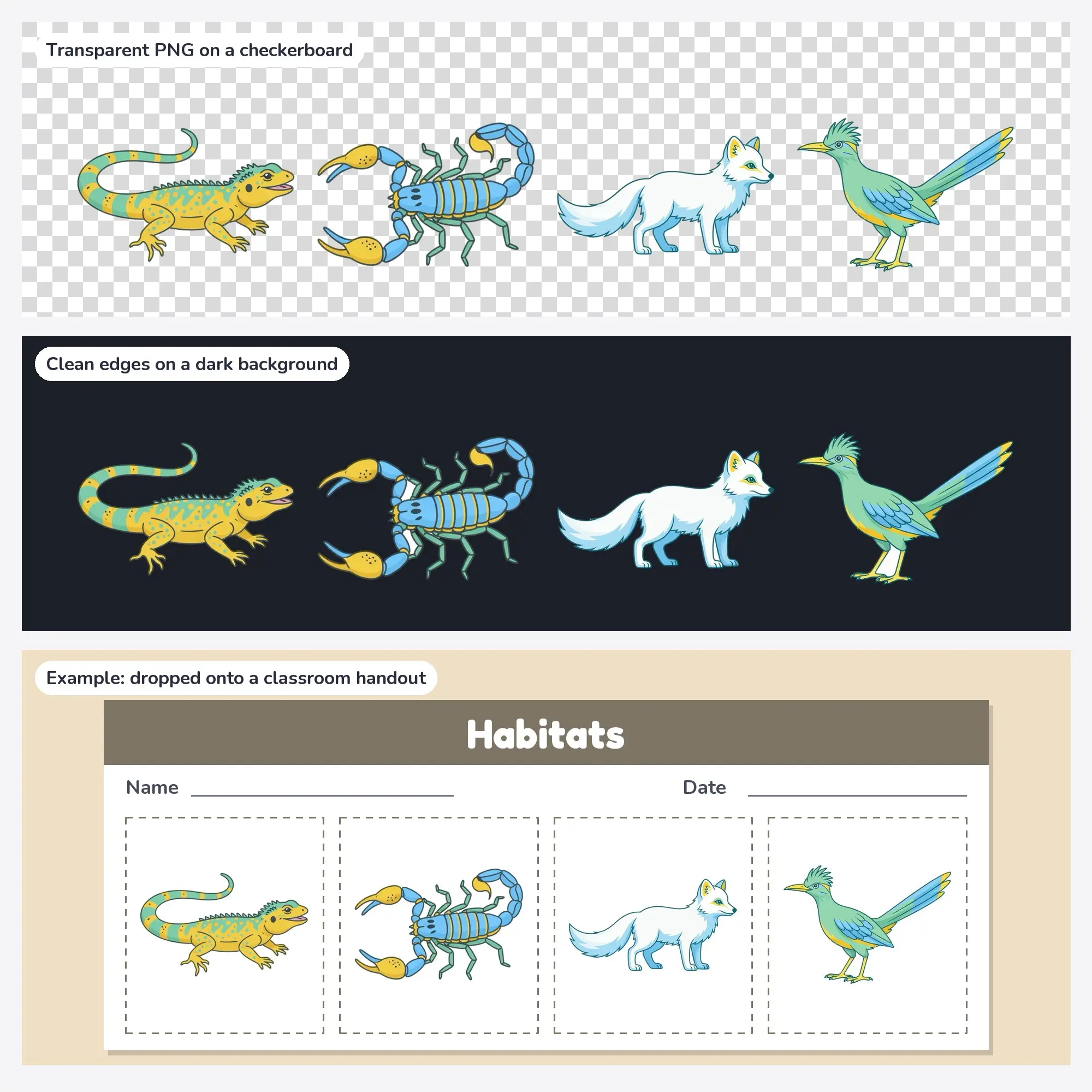 Desert & Arctic Clip Art - 4 Flat PNGs: Desert Lizard, preview 2 of 2