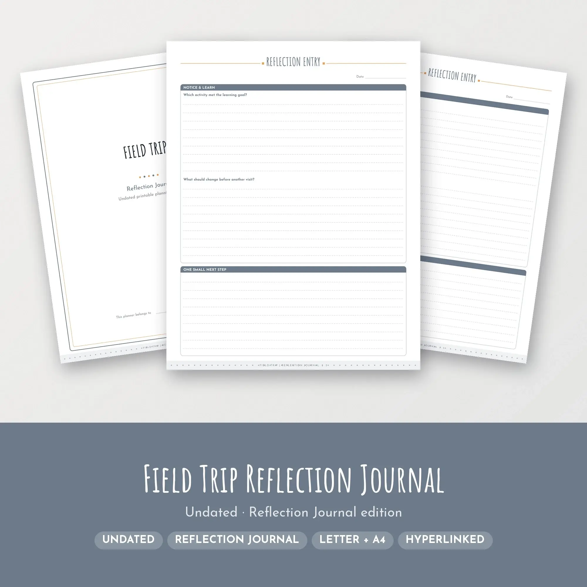 Field Trip Reflection Journal Planner PDF - Pewter preview