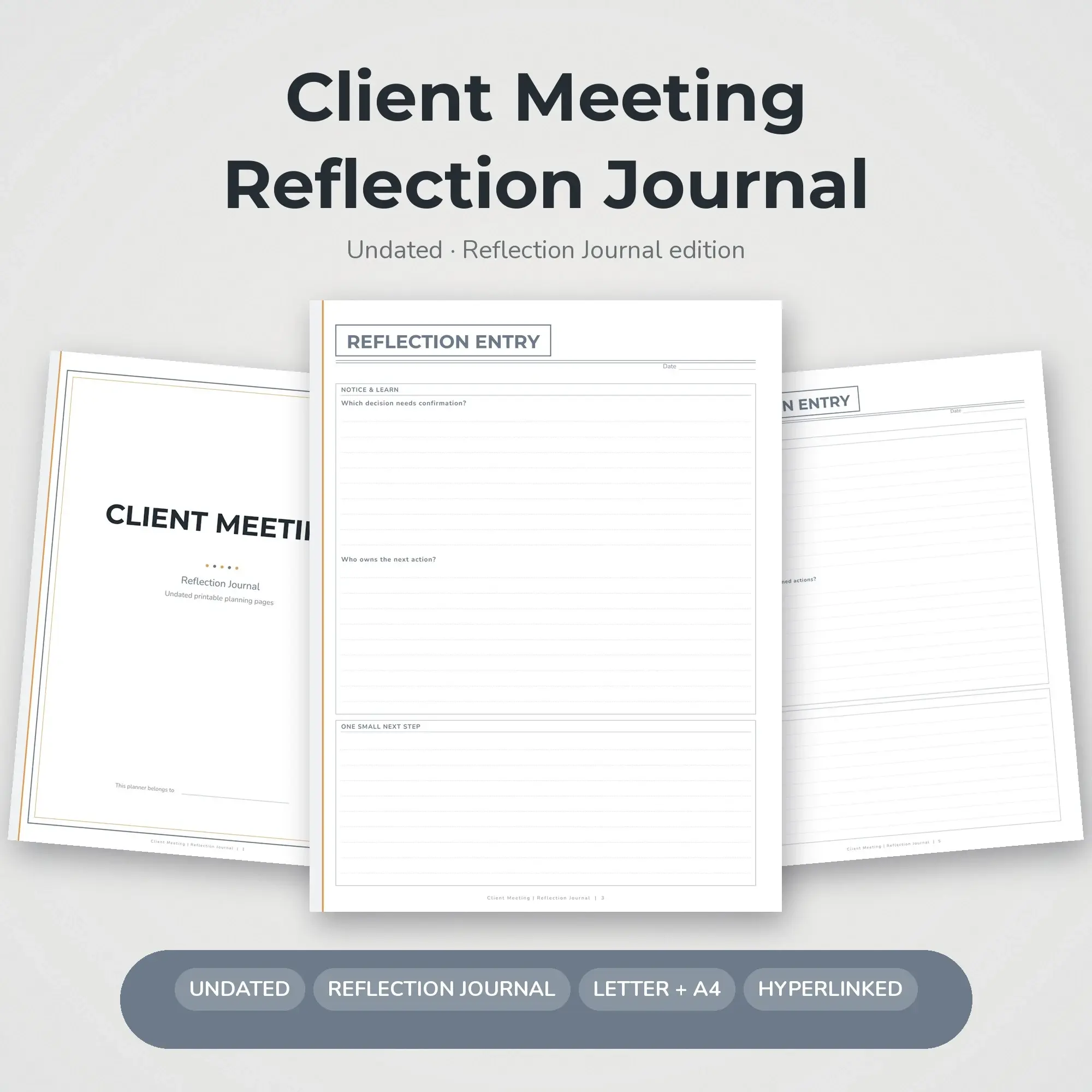 Client Meeting Reflection Journal Planner PDF - Pewter preview