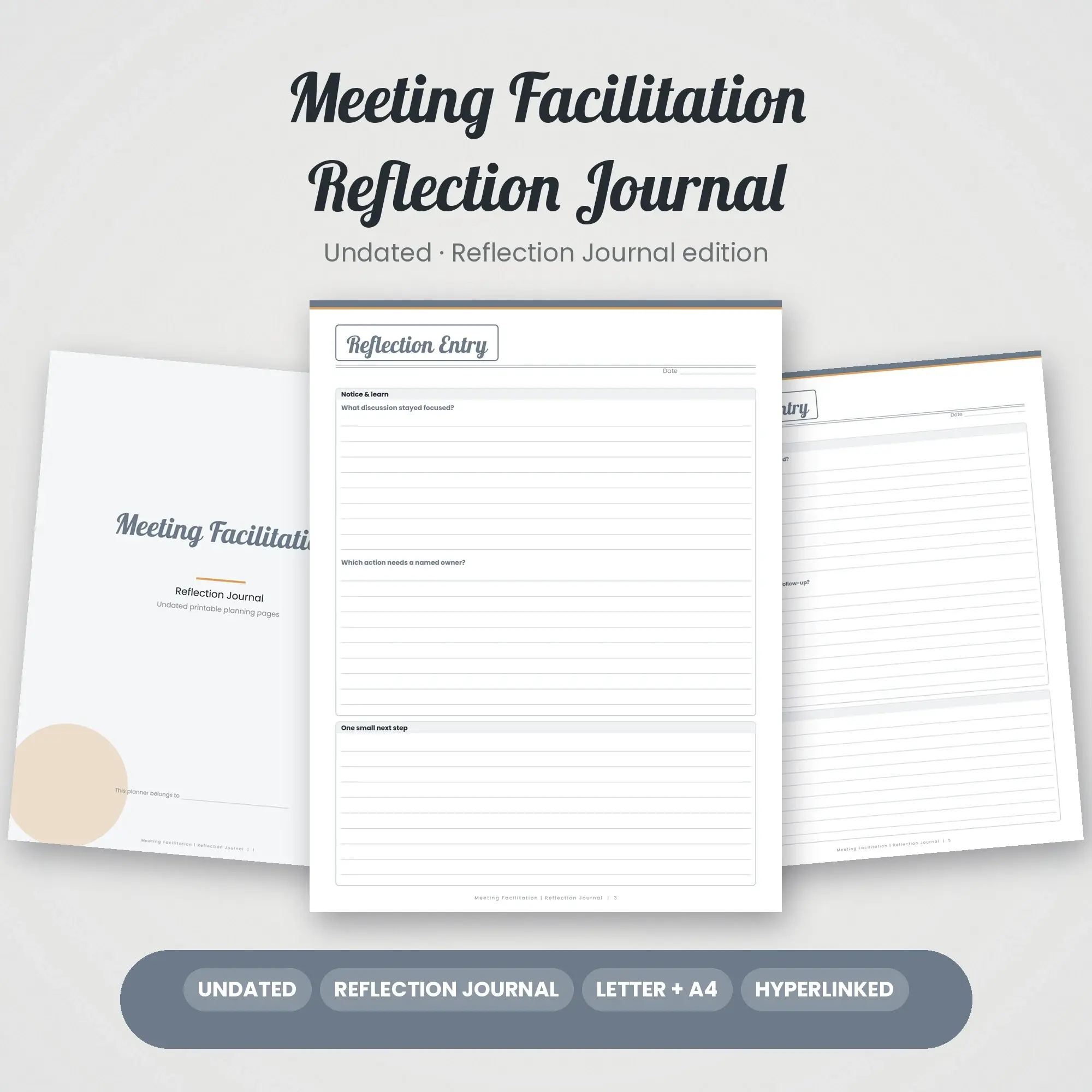 Meeting Facilitation Reflection Journal Planner PDF - Pewter preview
