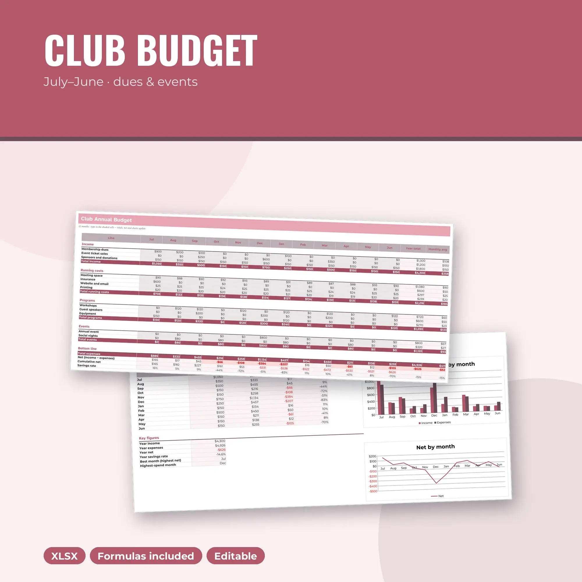 Fiscal Year Budget Spreadsheet for Small Clubs, July to June (XLSX) preview