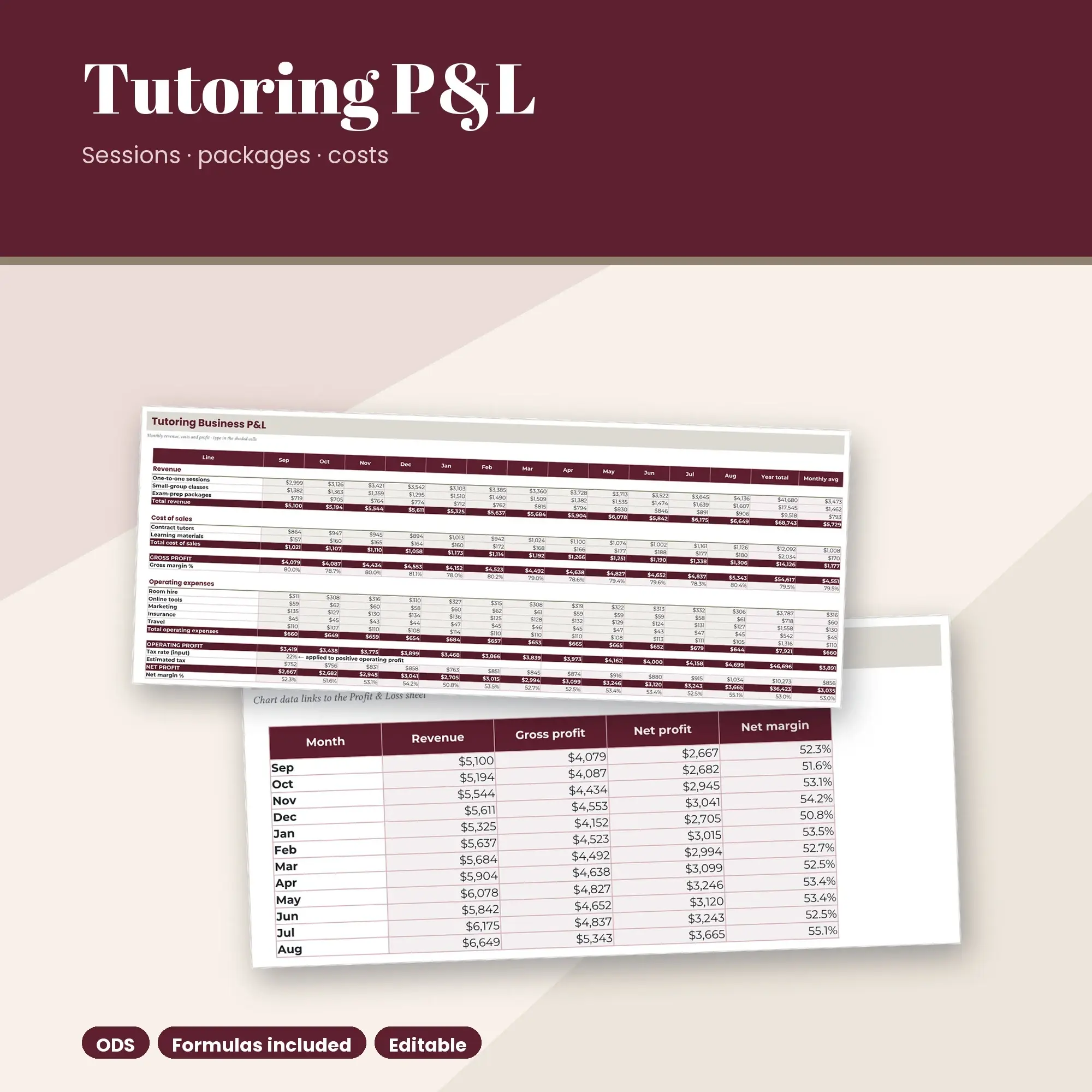 Tutoring Business Profit and Loss Spreadsheet, Income and Expenses (ODS) preview