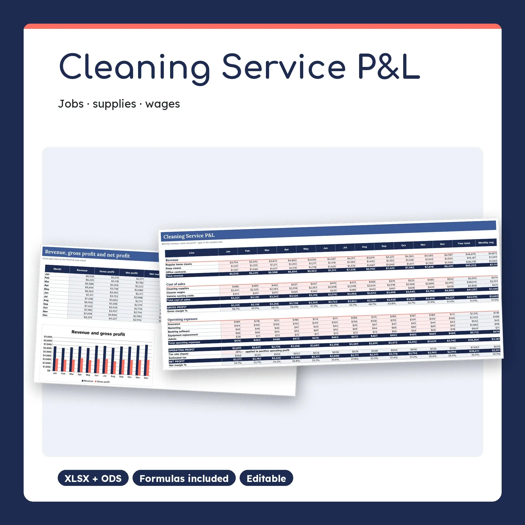 Cleaning Service Profit and Loss Spreadsheet, Monthly P&L (XLSX + ODS) preview