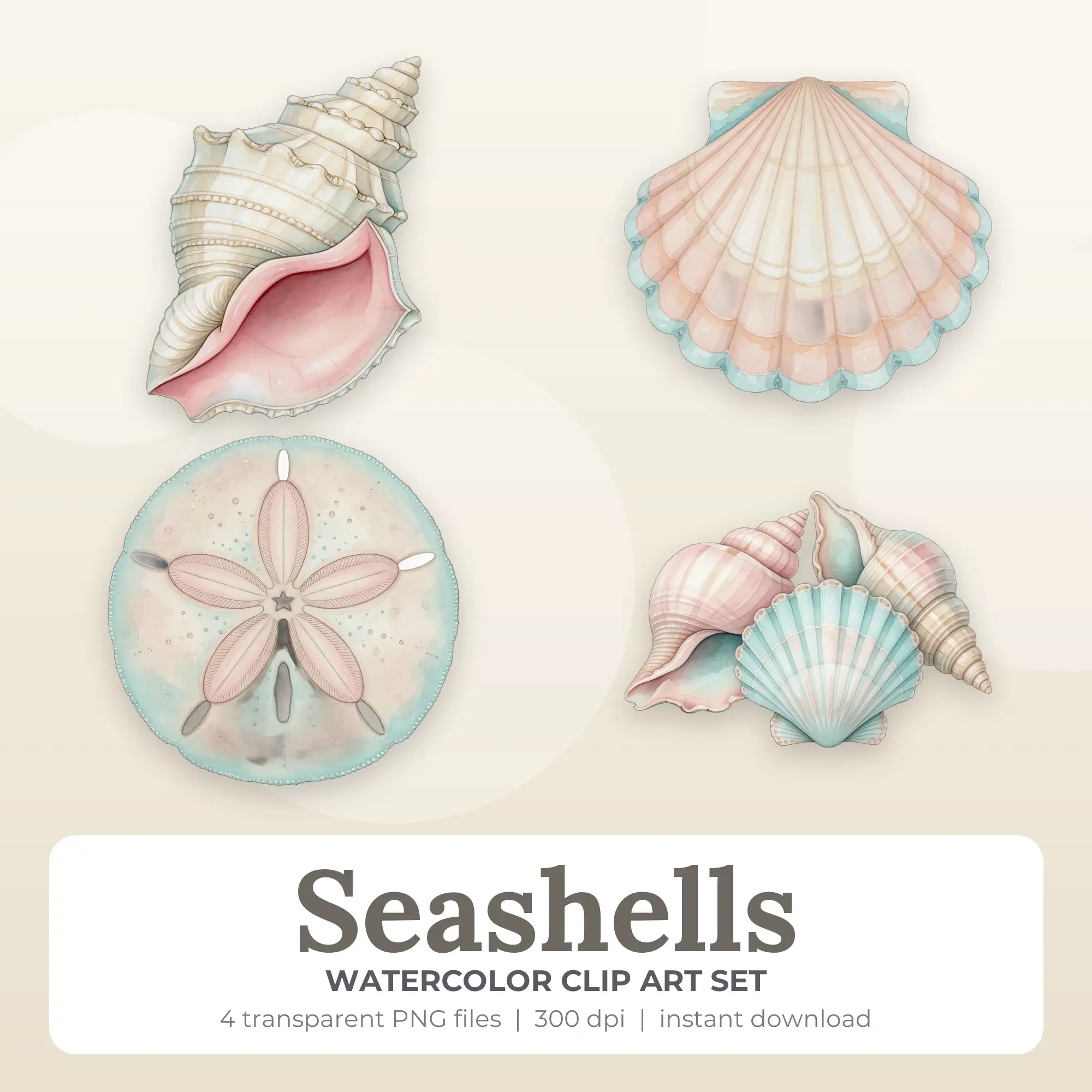 Seashells Clipart Set, Watercolor Style - 4 PNG preview