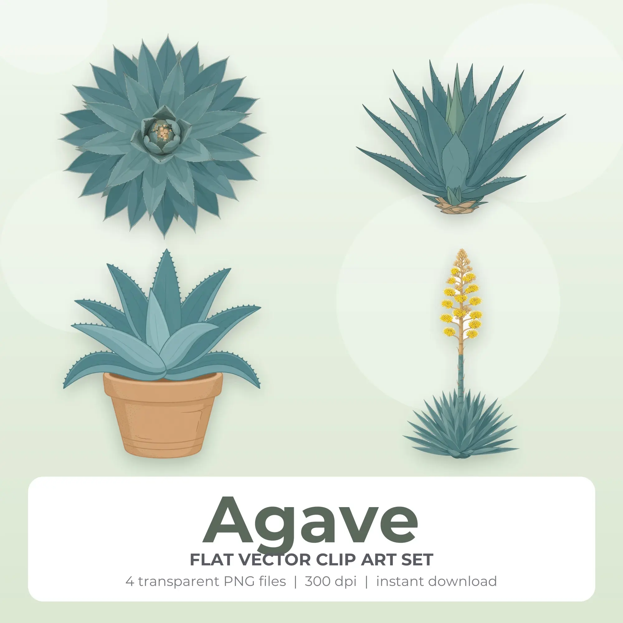 Agave Clipart Set, Flat Vector Style - 4 PNG preview
