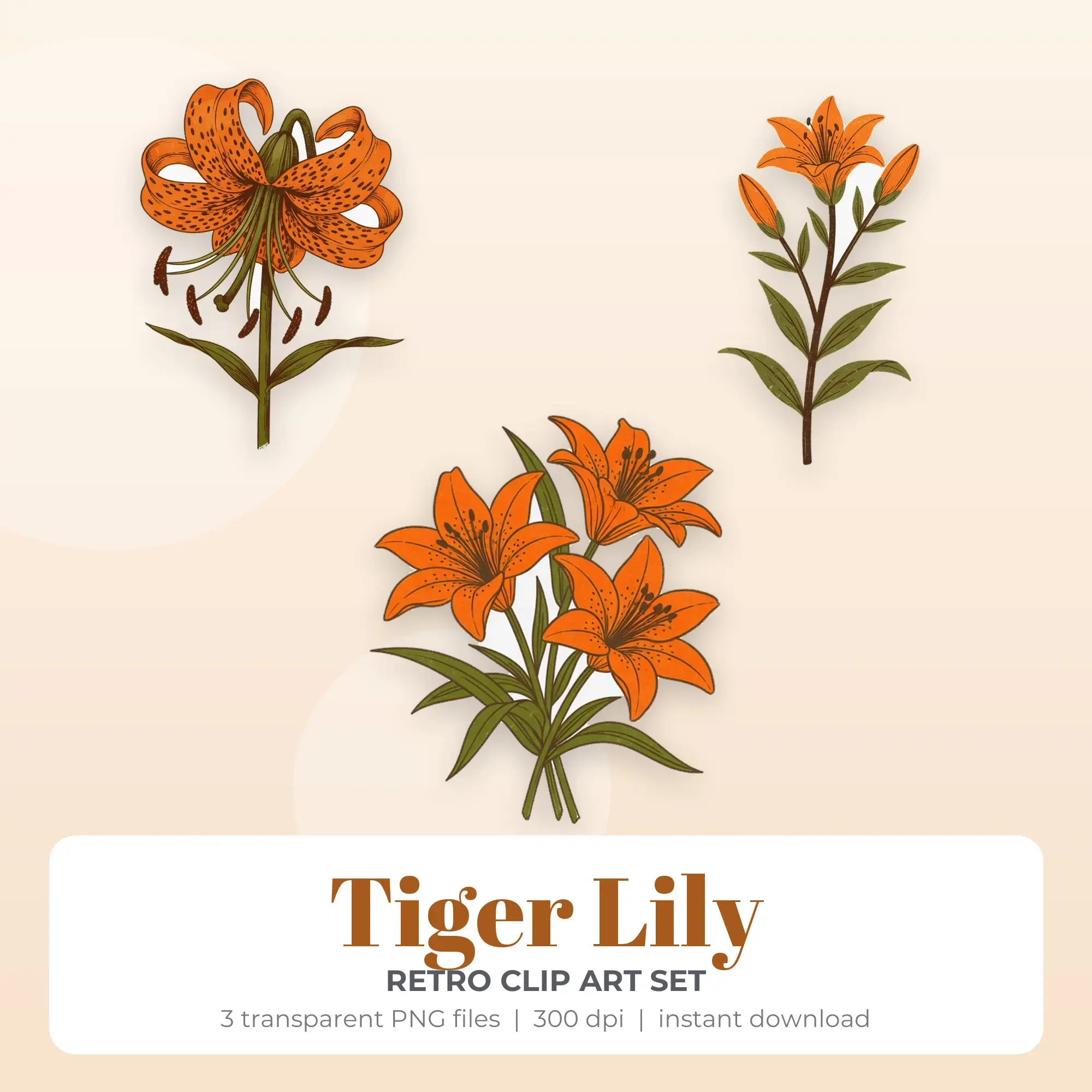 Retro Tiger Lily Clip Art Set - 3 Transparent PNG preview