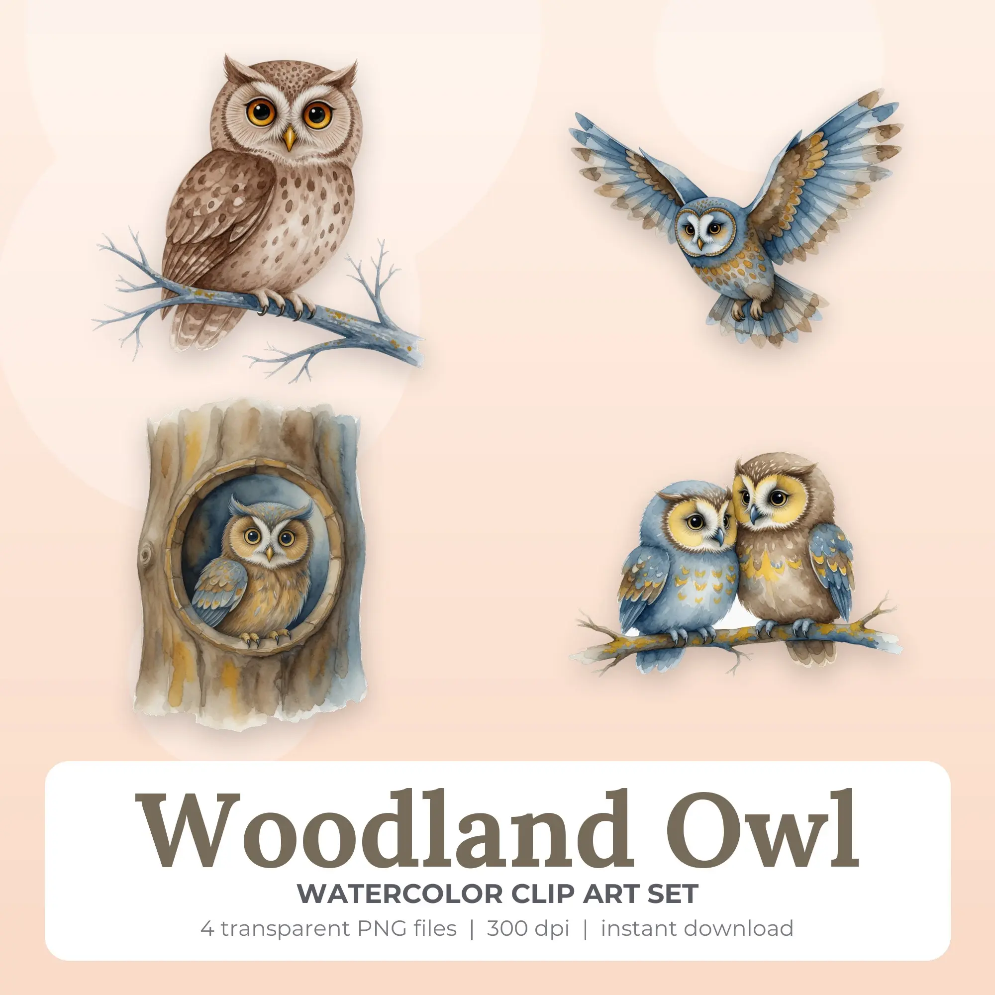 Watercolor Woodland Owl Clip Art Set - 4 Transparent PNG preview