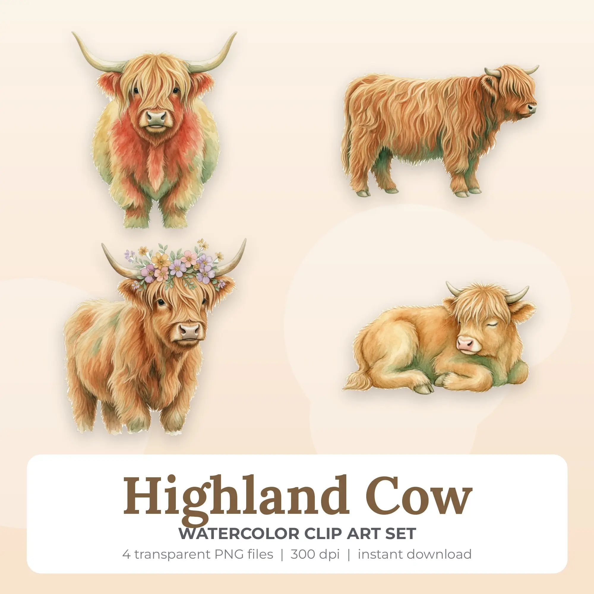 4 Watercolor Highland Cow Clip Art PNG Files preview