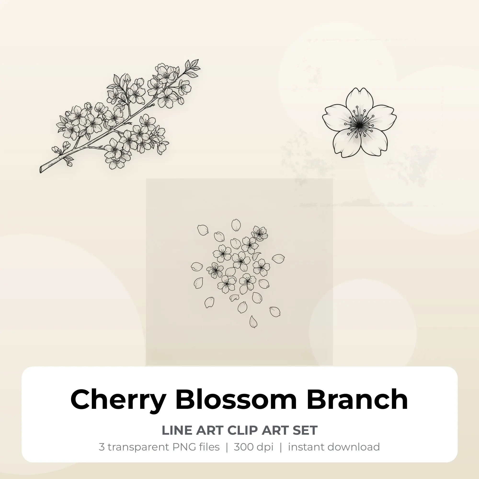 Cherry Blossom Branch Clip Art (Line Art) - 3 Transparent PNG preview