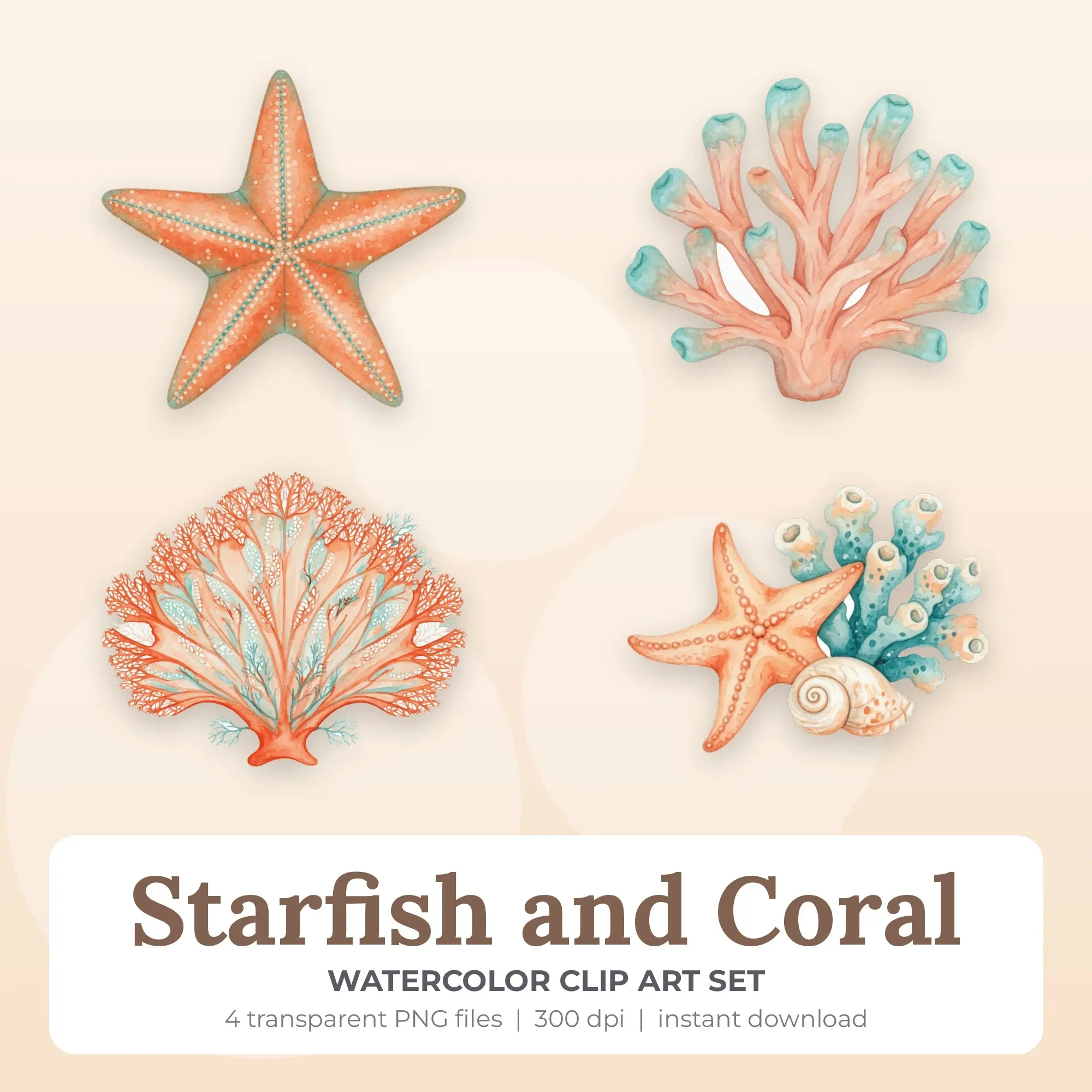 4 Watercolor Starfish and Coral Clip Art PNG Files preview