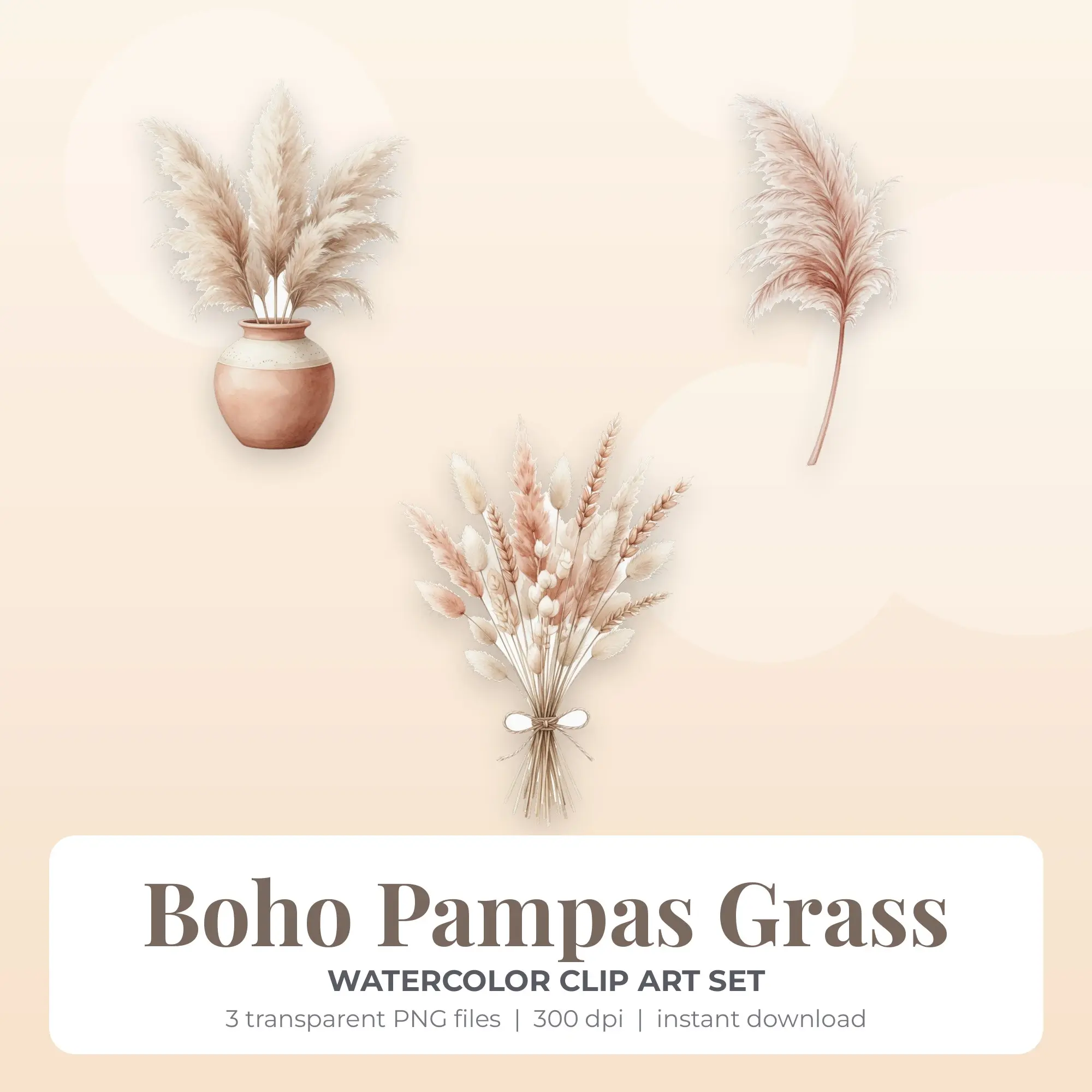 Watercolor Boho Pampas Grass Clip Art Set - 3 Transparent PNG preview