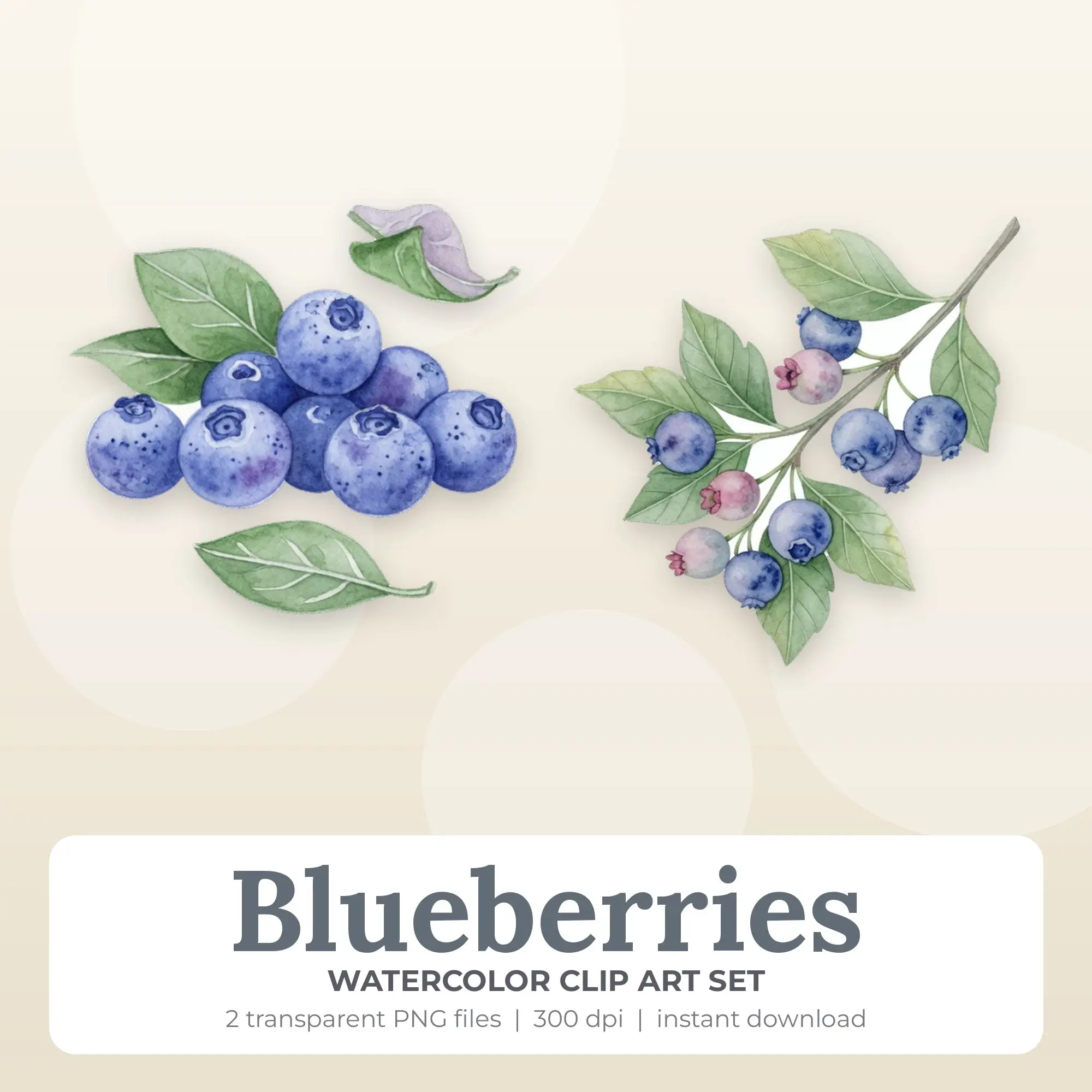 Watercolor Blueberries Clip Art Set - 2 Transparent PNG preview