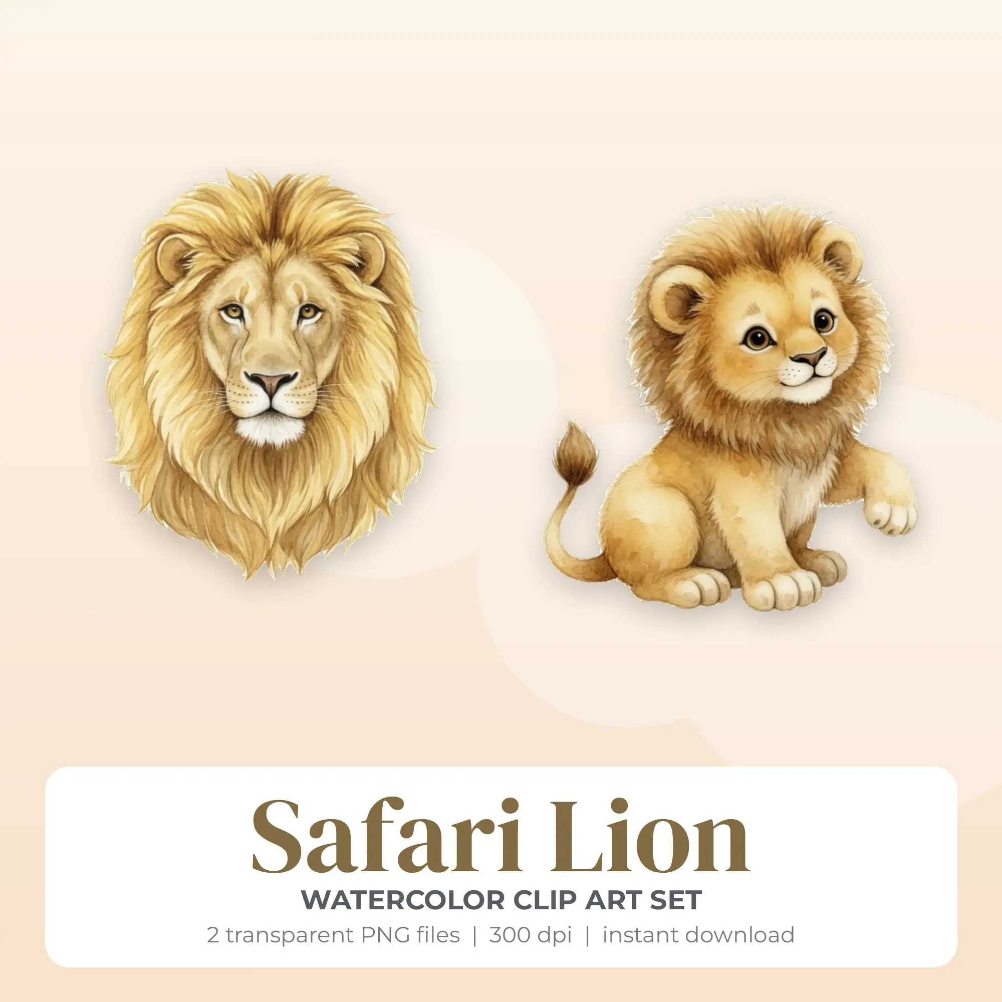 Safari Lion Clip Art (Watercolor) - 2 Transparent PNG preview