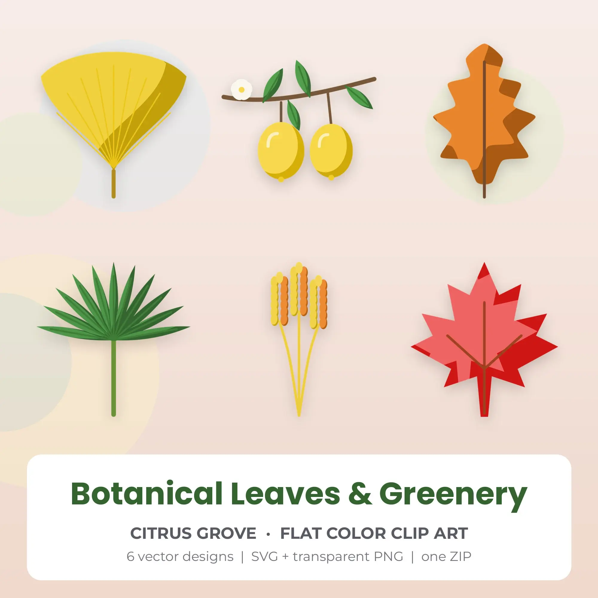 Botanical Leaves & Greenery Clipart in Citrus Grove - 6 SVG PNG preview