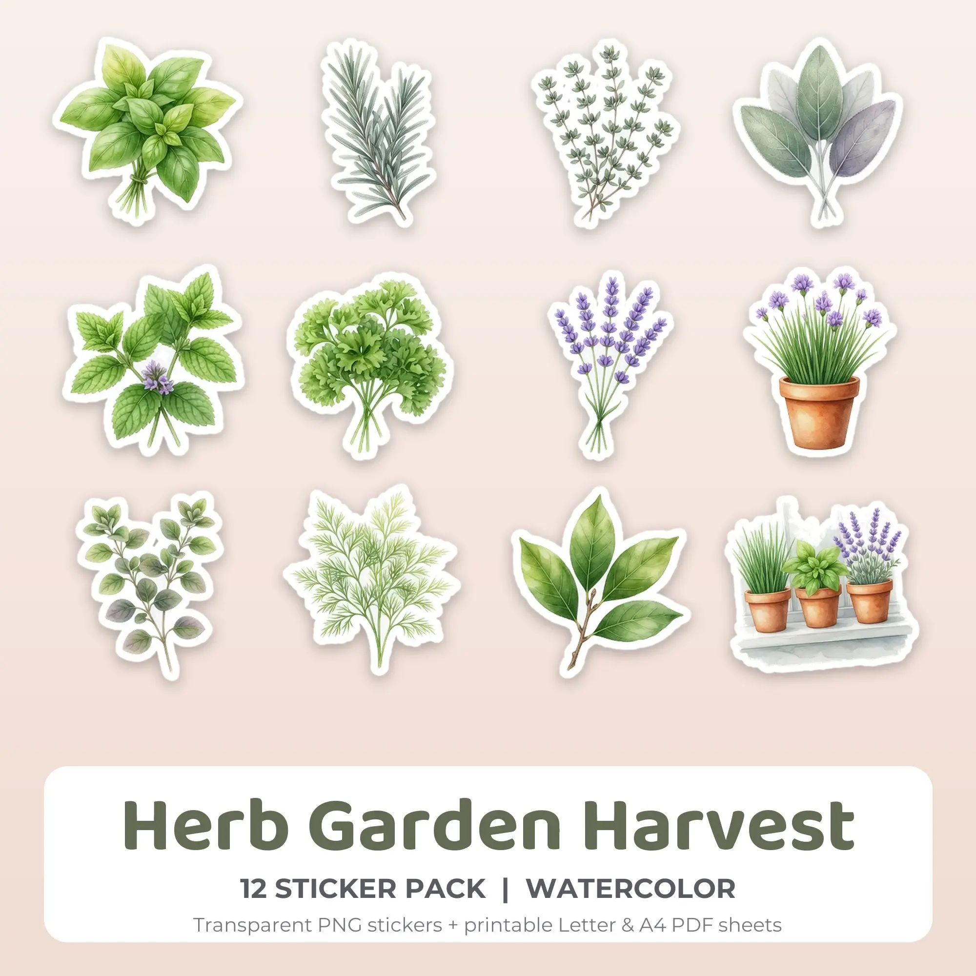 Printable Herb Garden Harvest Sticker Pack, Watercolor Style - 12 PNG preview