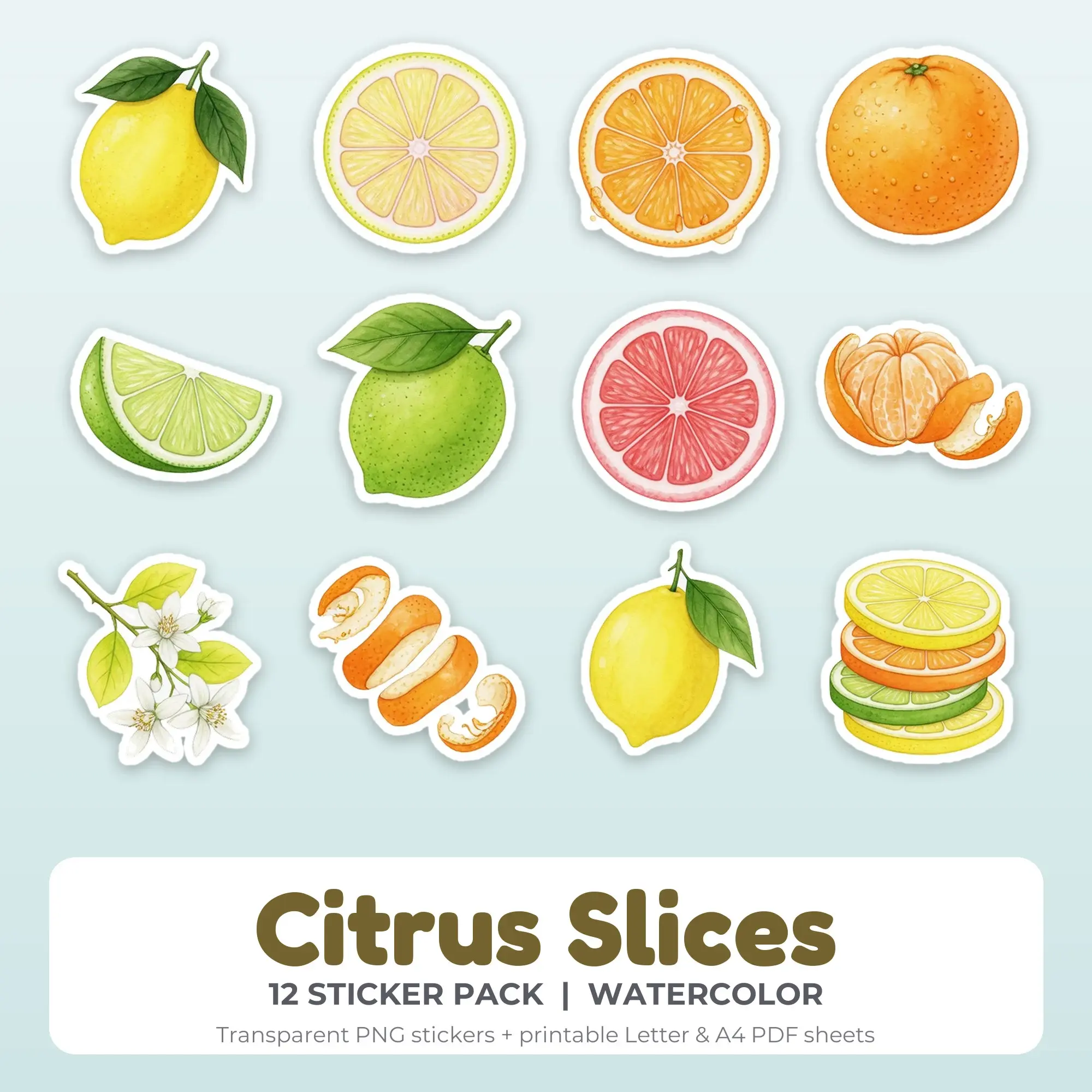 Citrus Slices Sticker Pack - 12 Printable Stickers preview