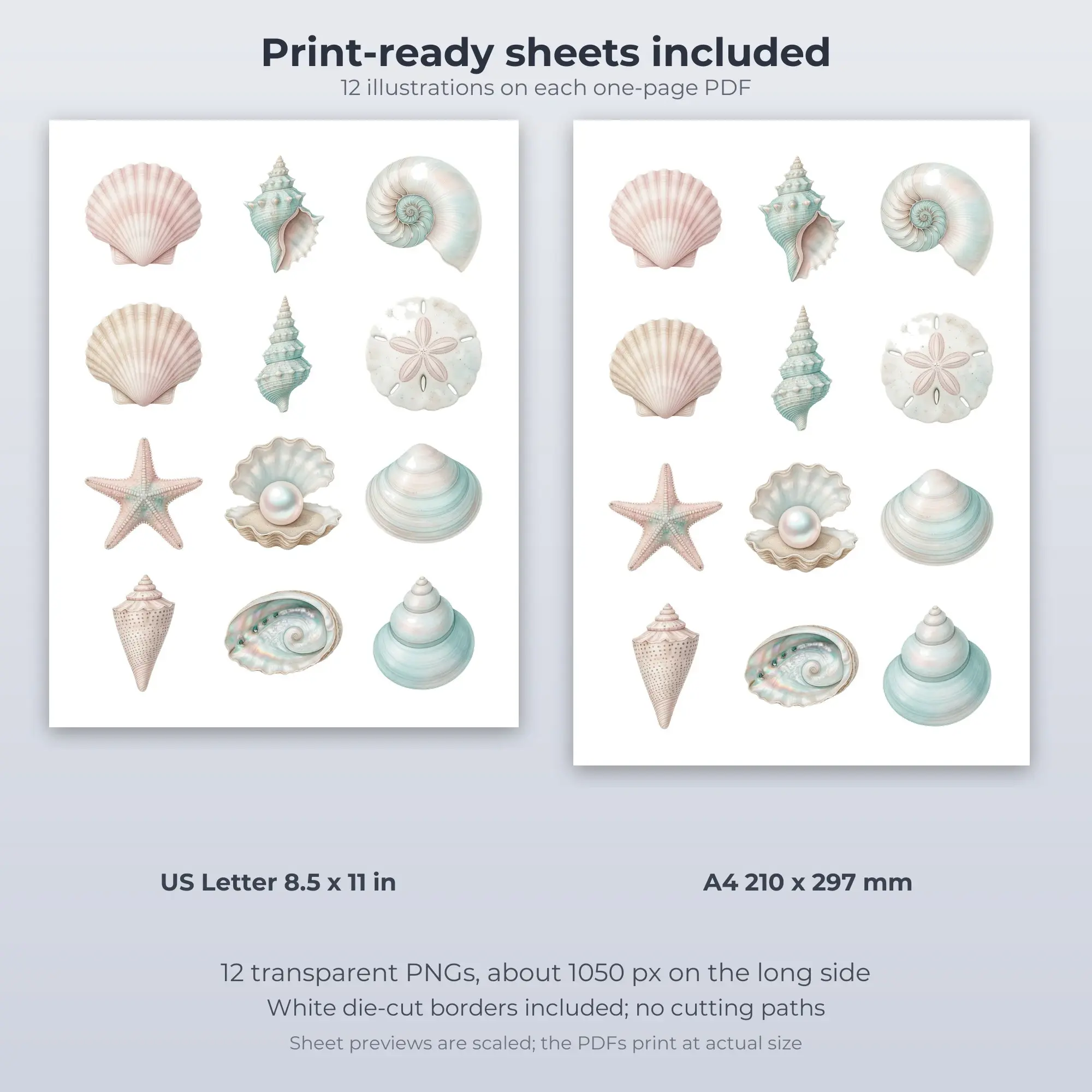 Printable Seashell Collection Sticker Pack, Watercolor Style - 12 PNG, preview 2 of 2