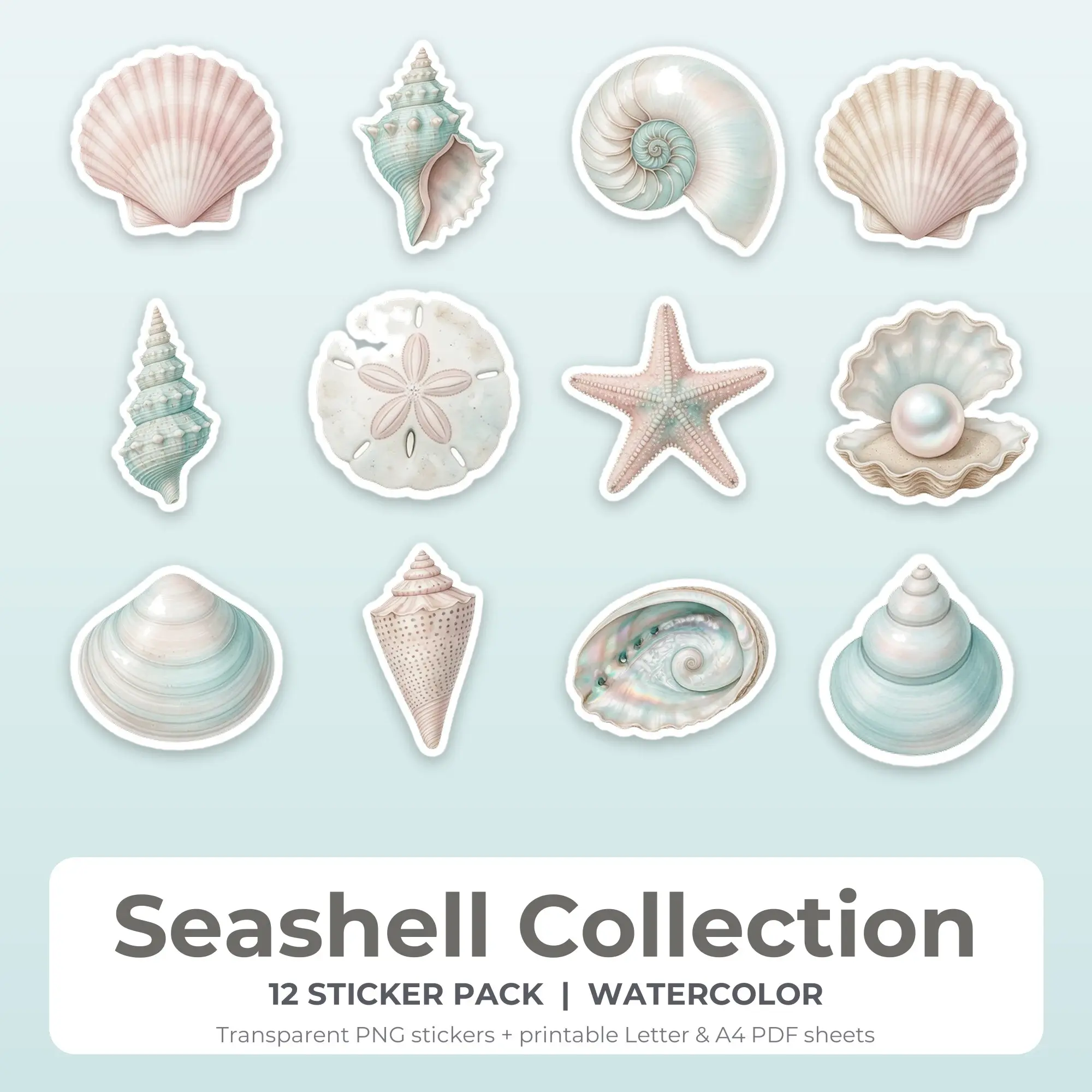 Printable Seashell Collection Sticker Pack, Watercolor Style - 12 PNG preview