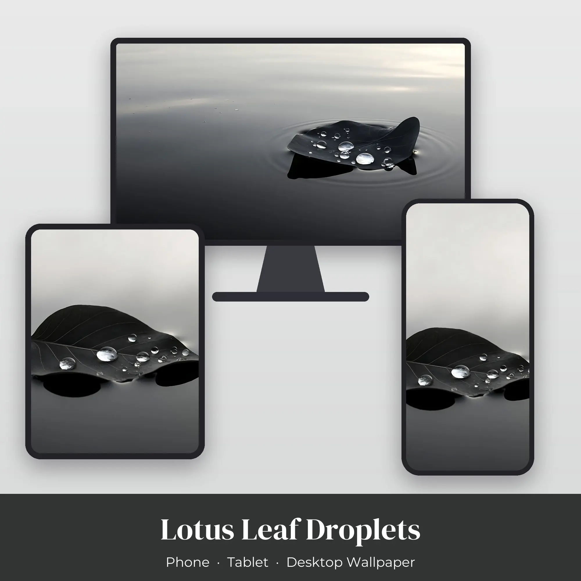 Wallpaper Pack – Lotus Leaf Droplets preview