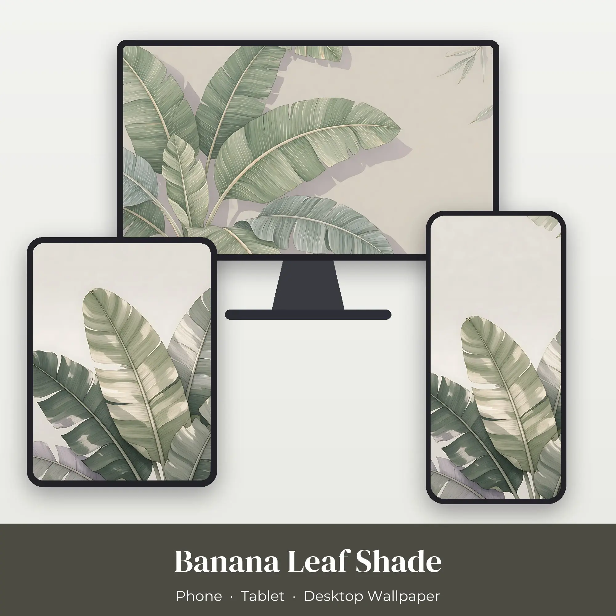 Wallpaper Pack – Banana Leaf Shade preview