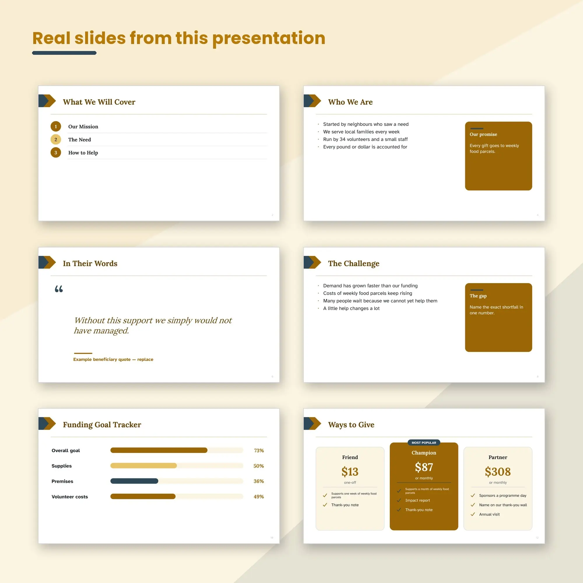 Nonprofit Fundraising Presentation, Food Banks (PPTX + POTX), preview 2 of 2