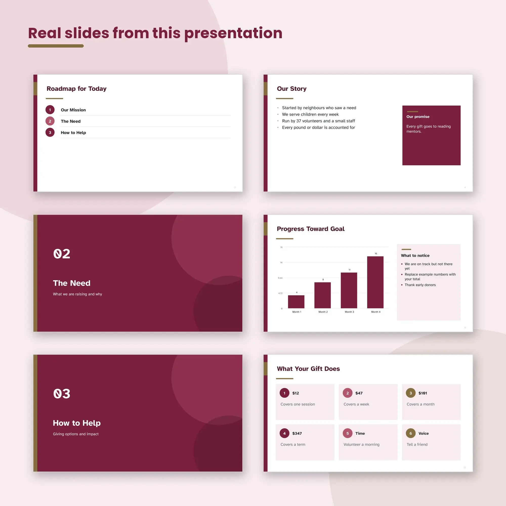 Nonprofit Fundraising Presentation, Libraries and Literacy (PPTX), preview 2 of 2