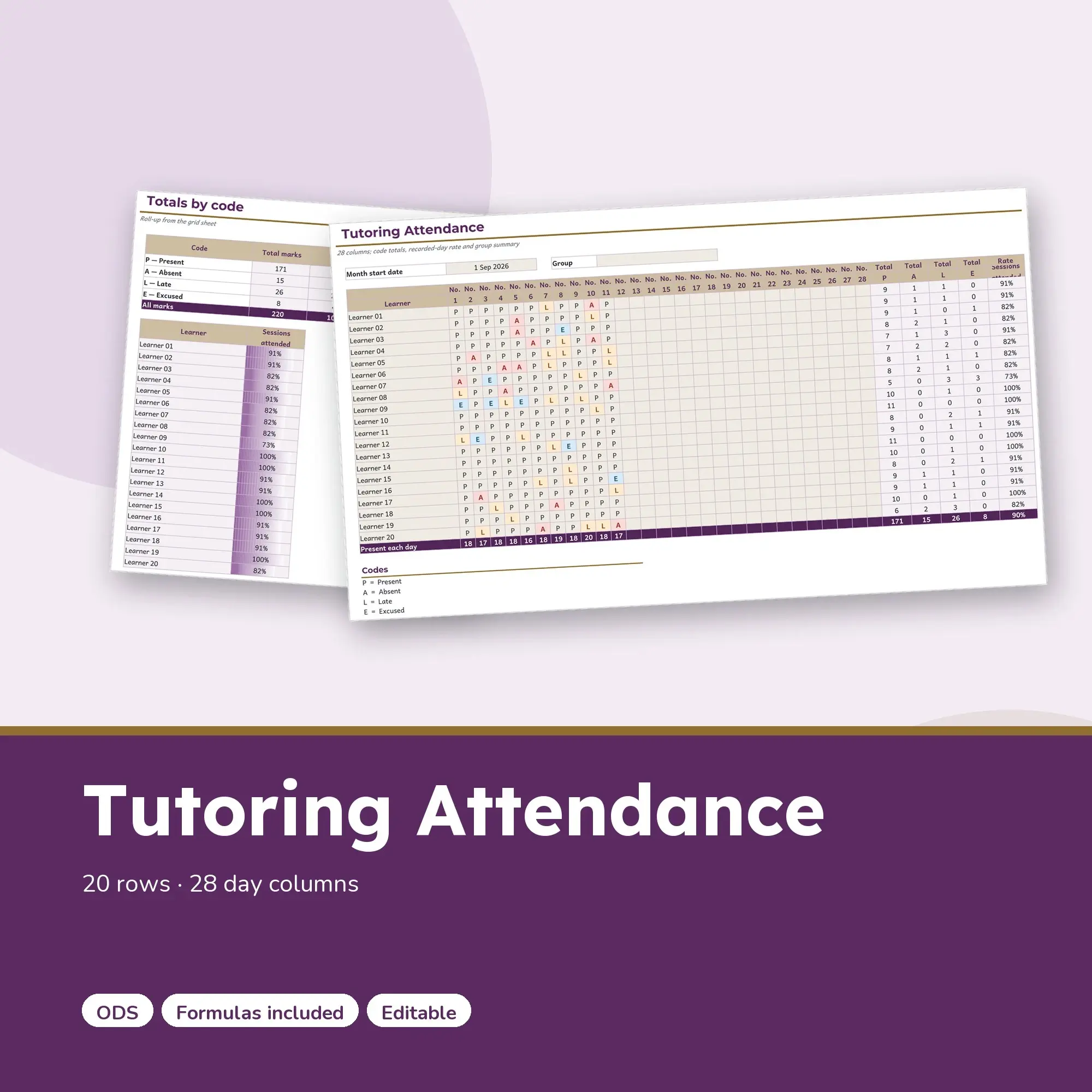 Tutoring Attendance Spreadsheet, Four Week 20-Row Register (ODS) preview