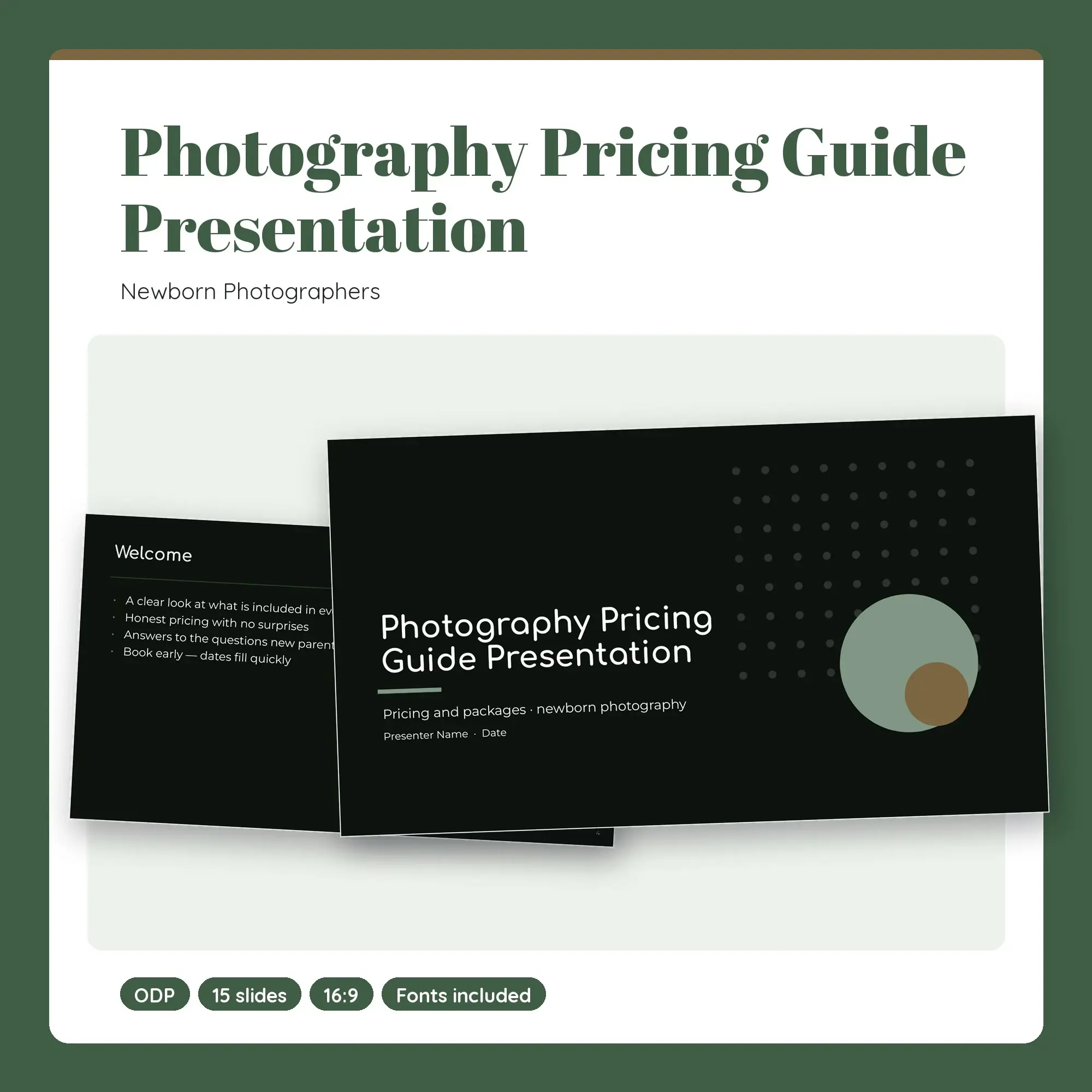 Photography Pricing Guide Presentation, Newborn Photographers (ODP) preview