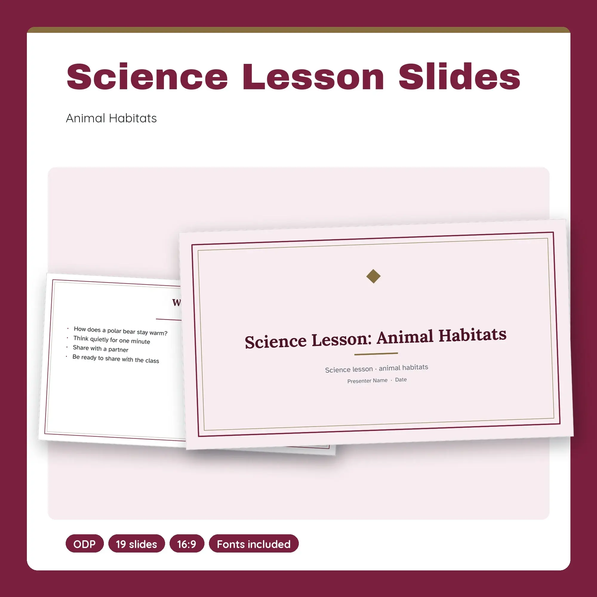 Science Lesson Slides, Animal Habitats (ODP) preview